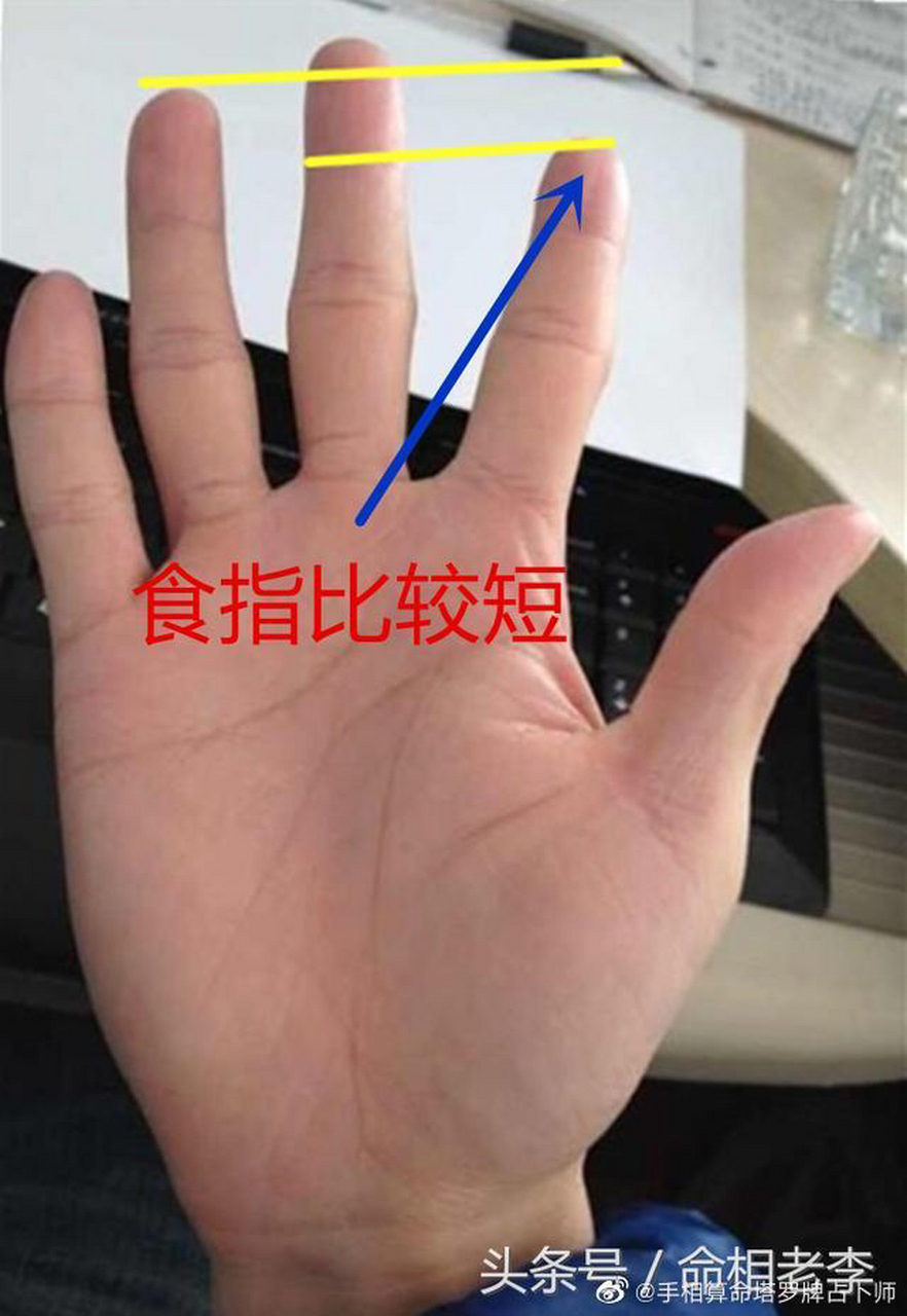 右手食指是第几个手指图片