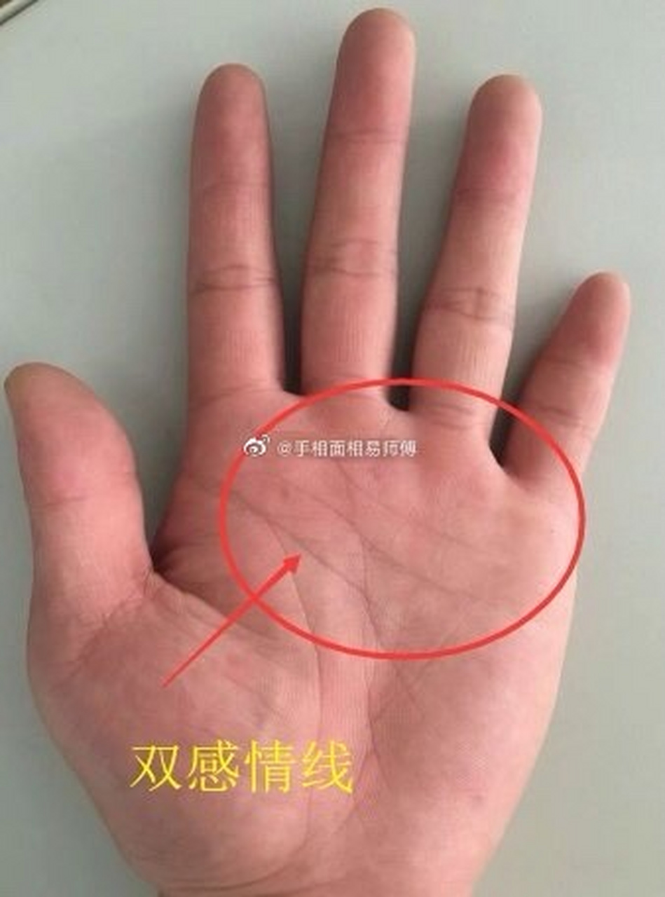感情线又叫做"双重爱情线",在爱情线的下方或上方,又出来一条平行线时