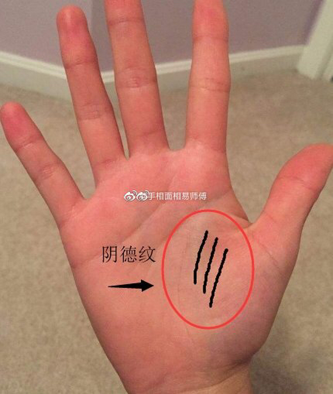 [笑而不语]  都说人做的善事可以从脸上的阴骘纹(阴德纹)看的出来