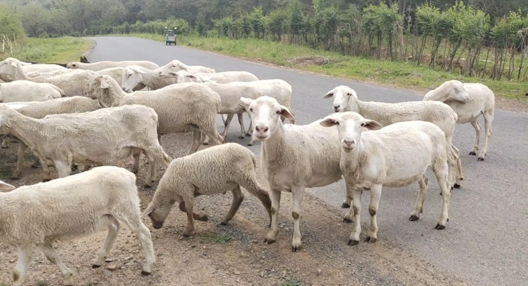 生活,就应该如此美好!#动