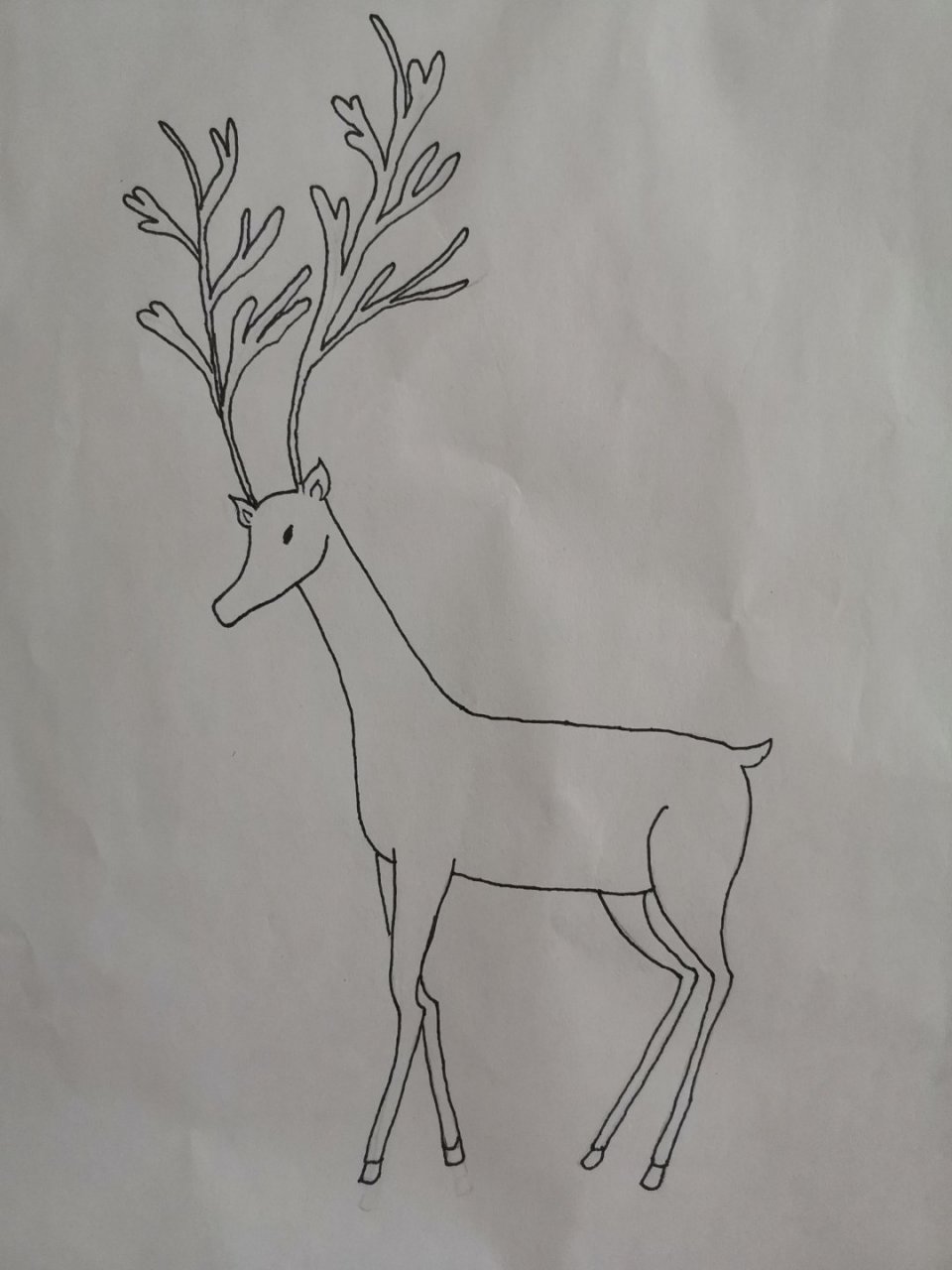 如何画鹿