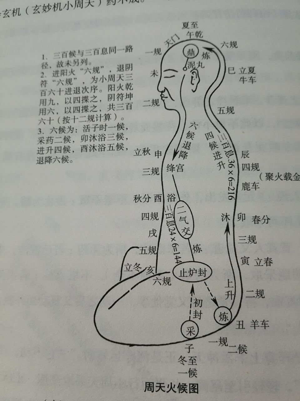 第24章小周天采药,运行以及调药方法与注意事项
