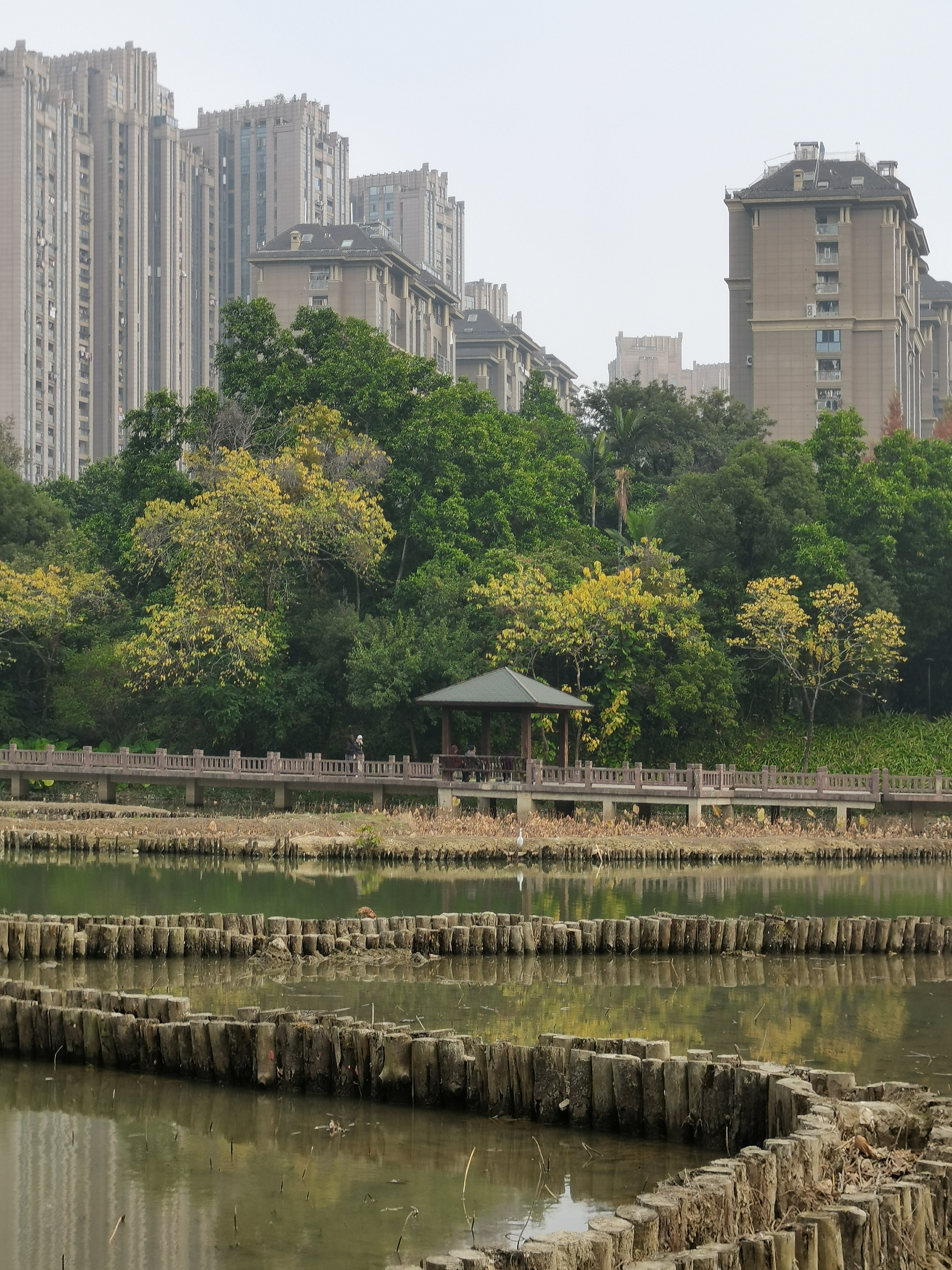 文登开发区金山公园图片