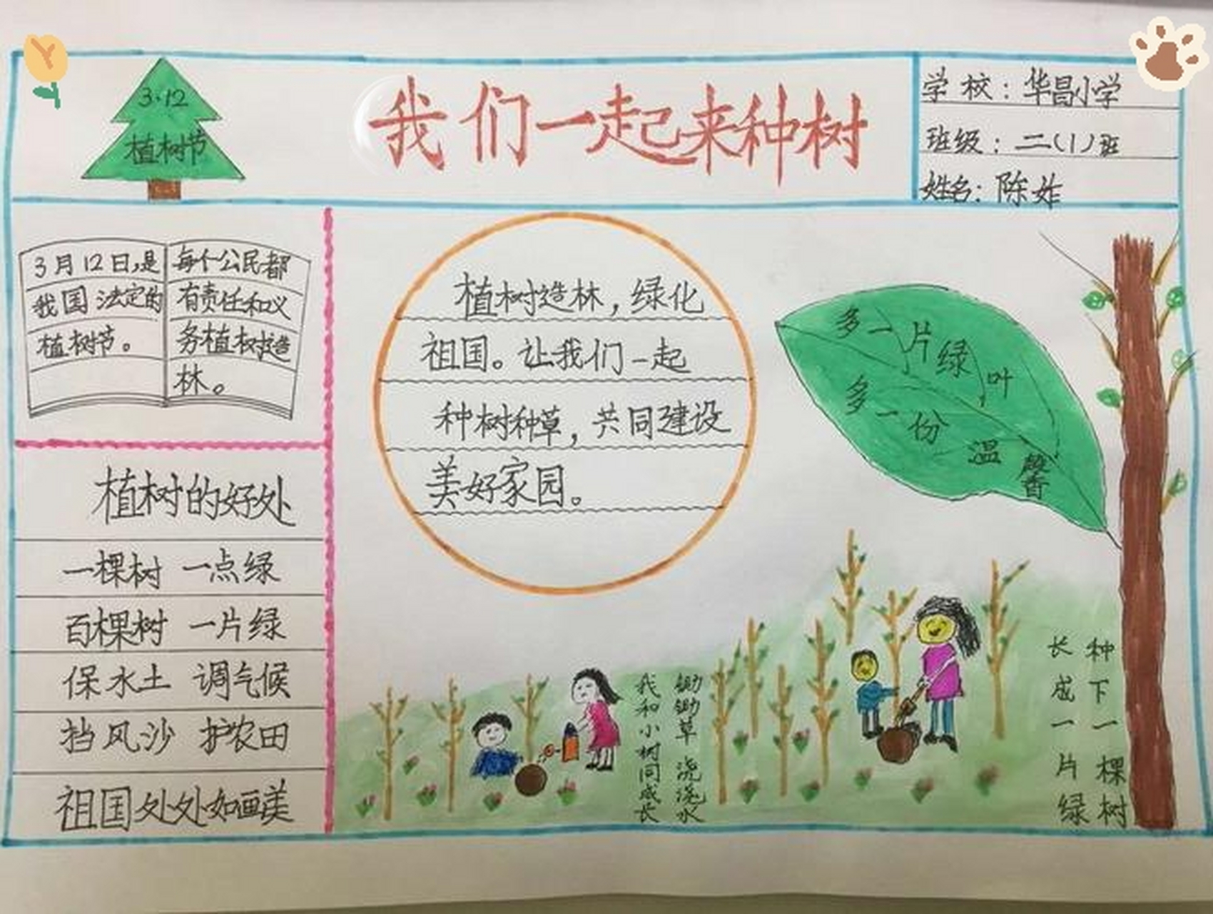 简单植树节手抄报