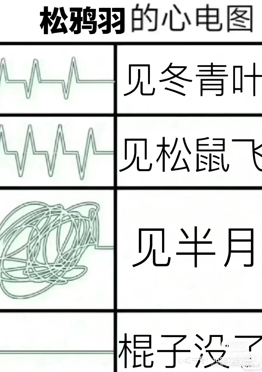 猫武士蜡毛伴侣图片