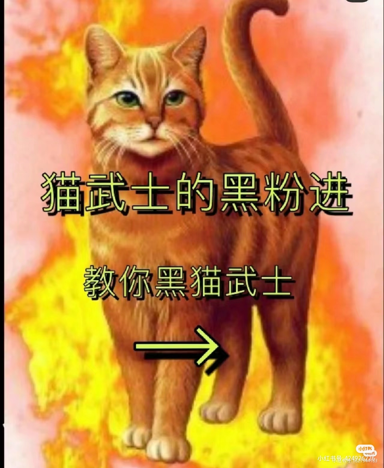 猫武士斑毛图片