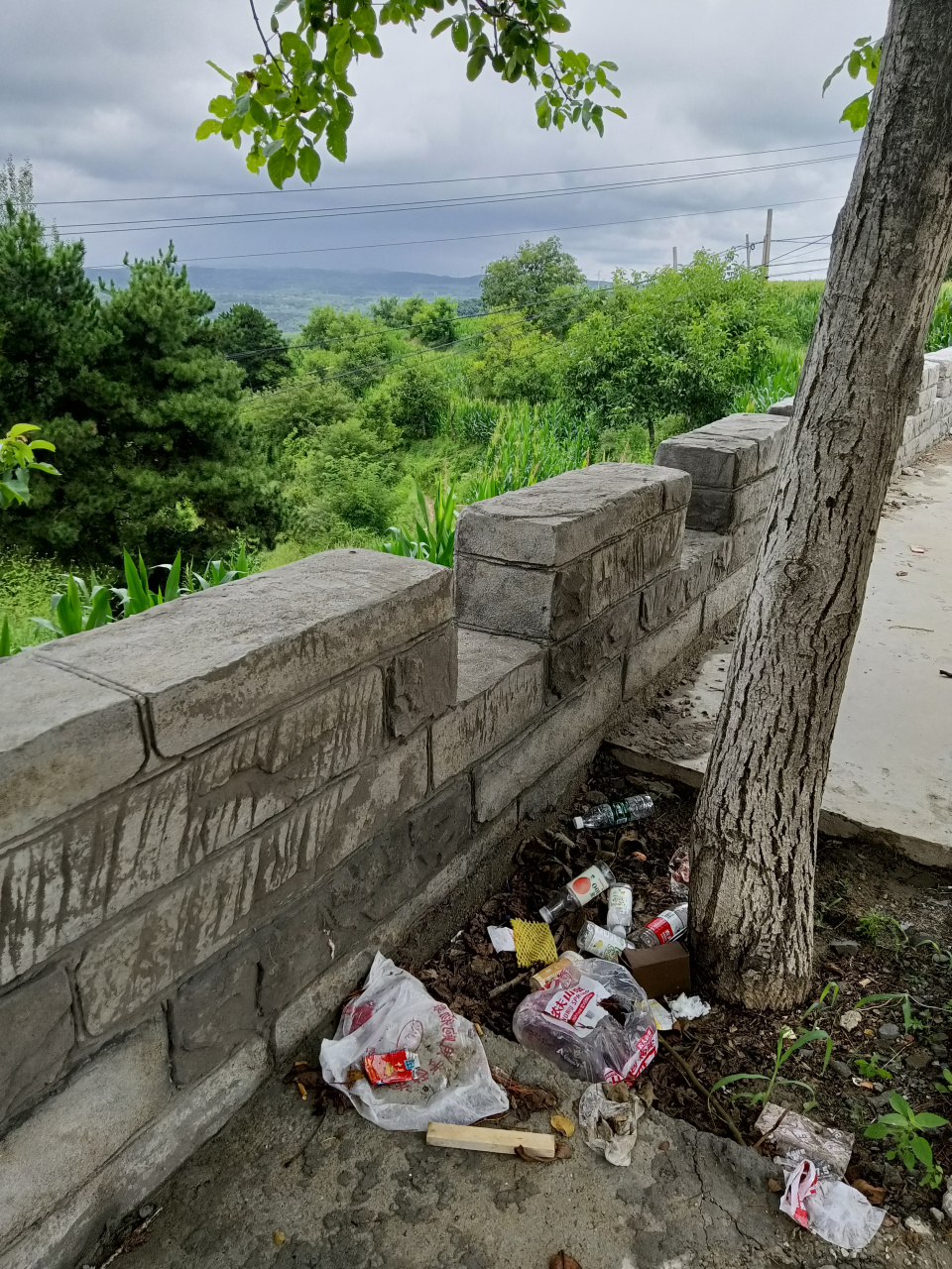 抽中华烟的人咋也这素质