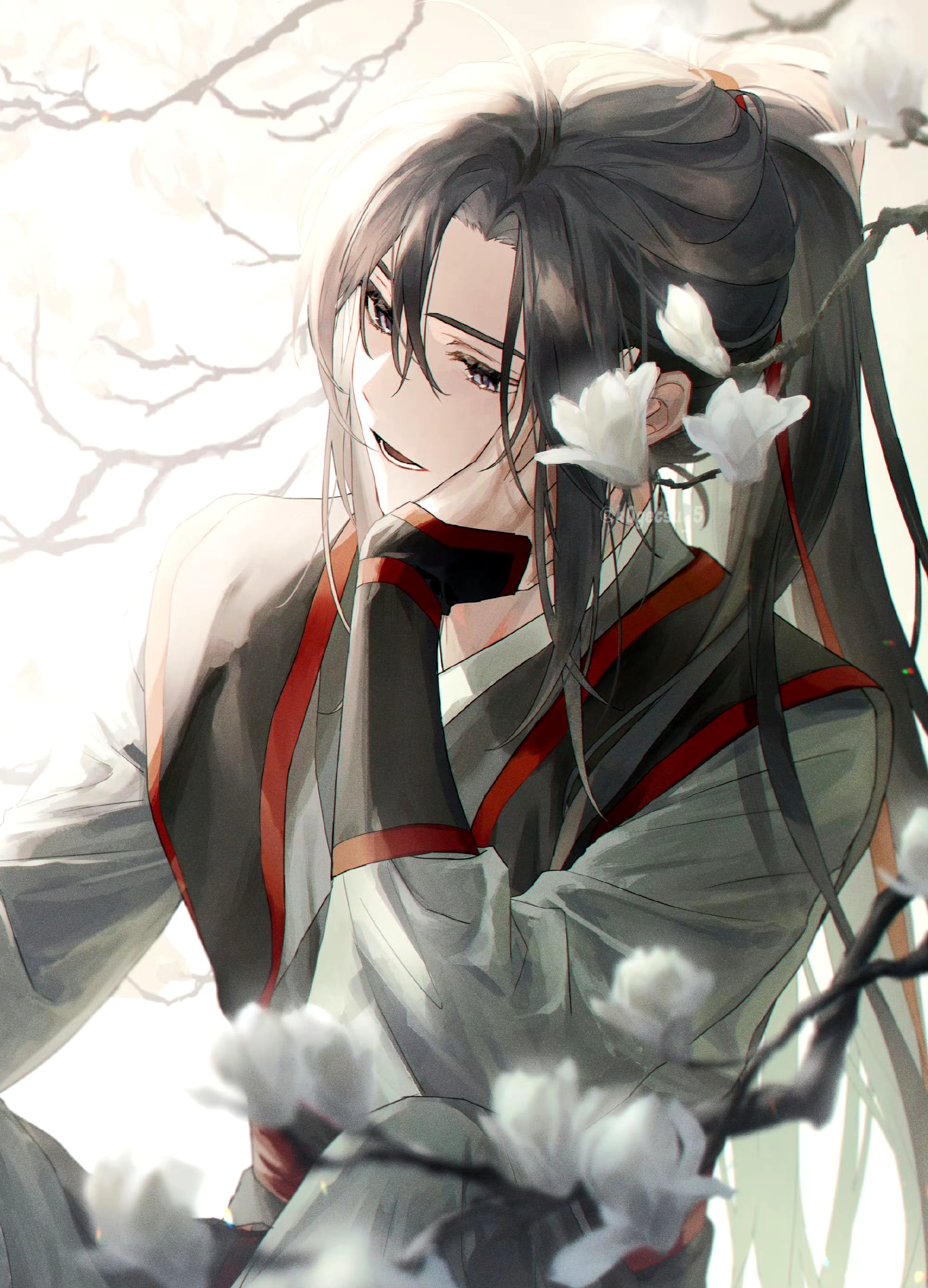 魔道祖师魏无羡美图图片