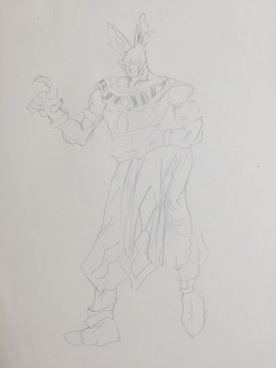 比鲁斯的肌肉形态