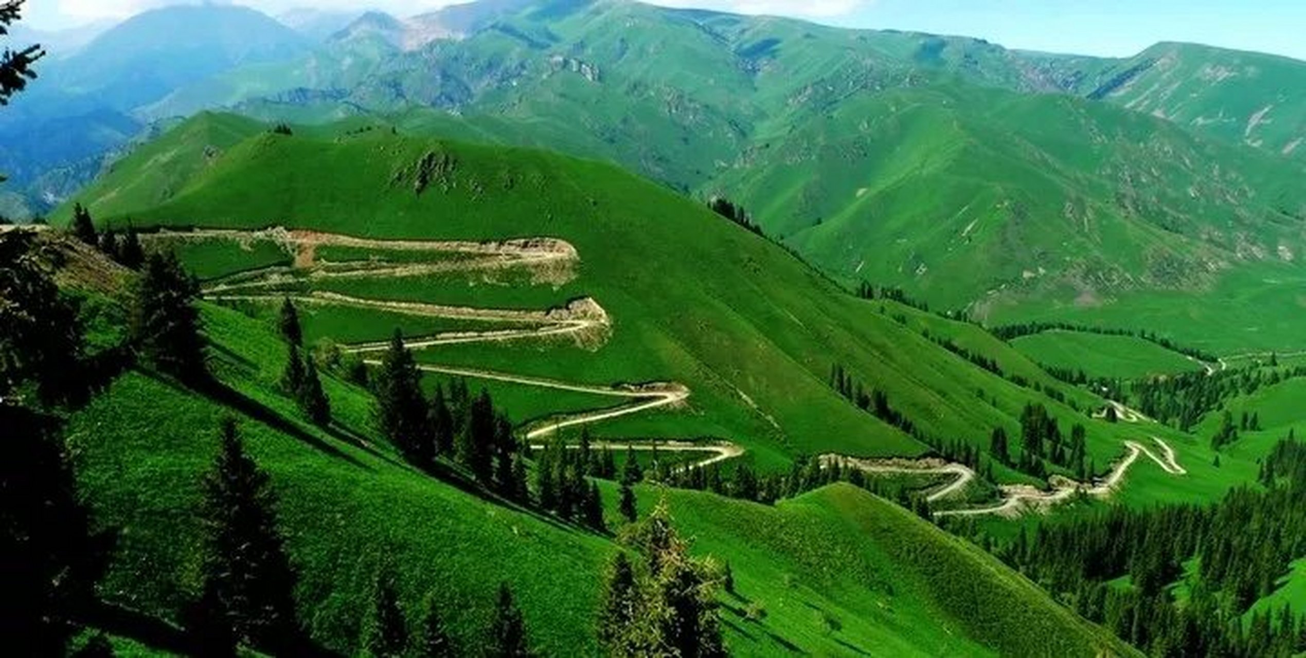 夏尔西里,绿草如茵,繁花似锦,到处都是油画般的风景.