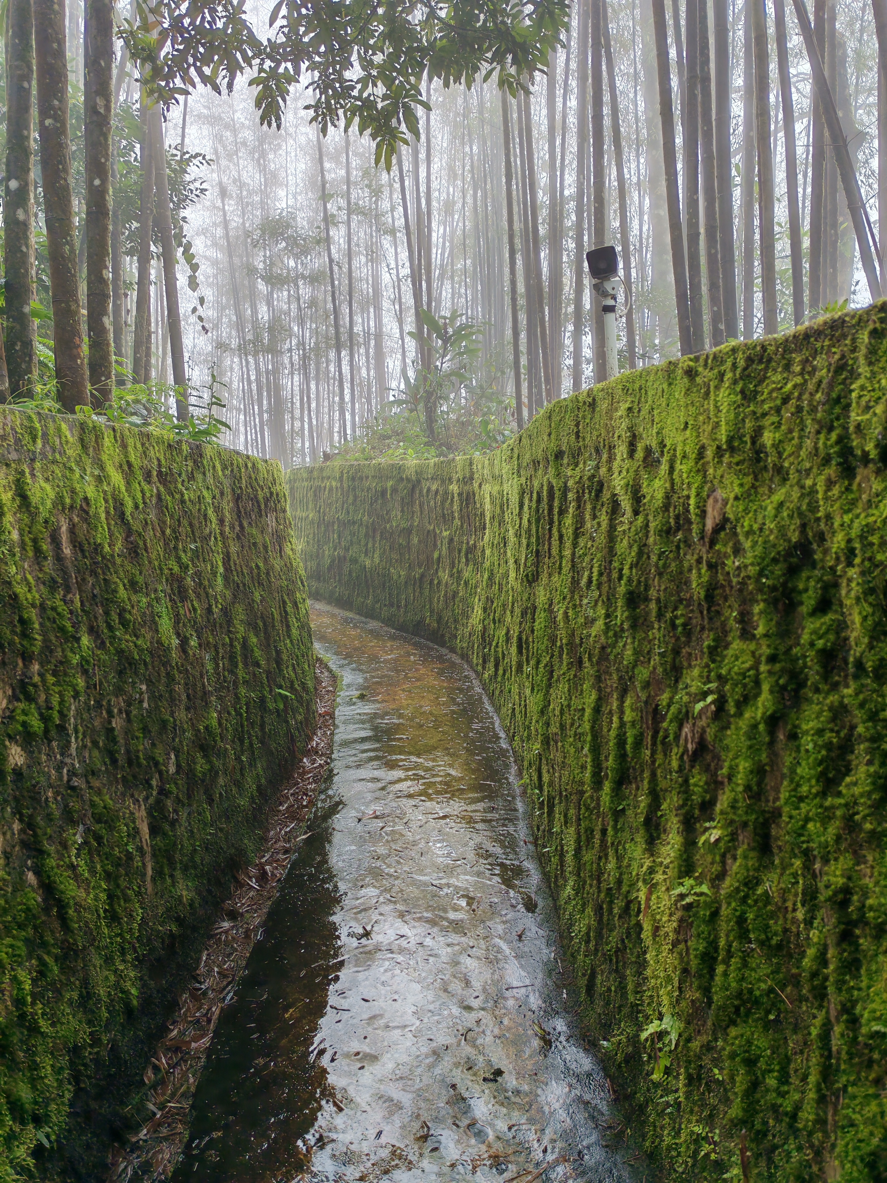 麻栗坡老山风景区图片图片