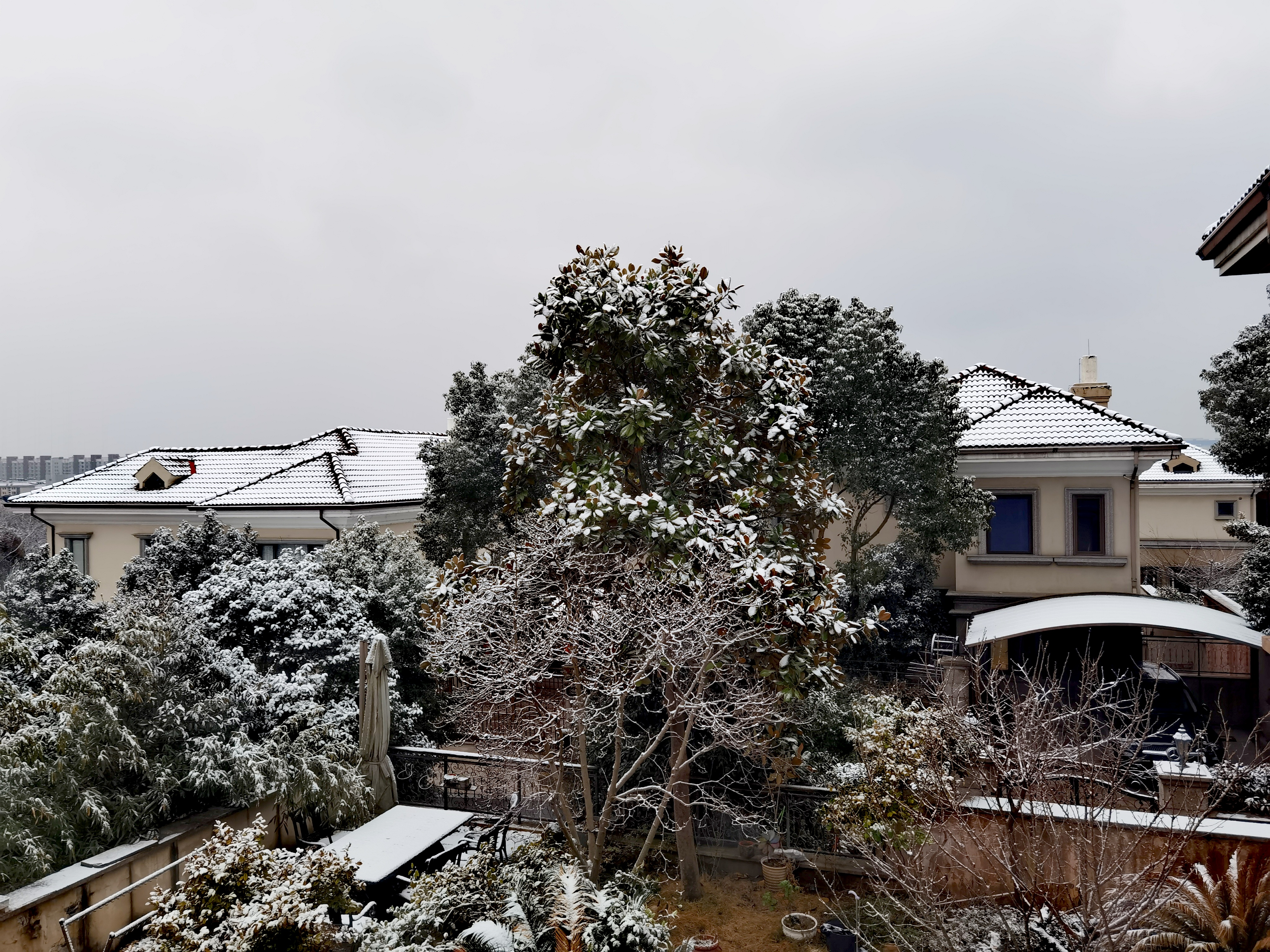 别墅院子雪景图片