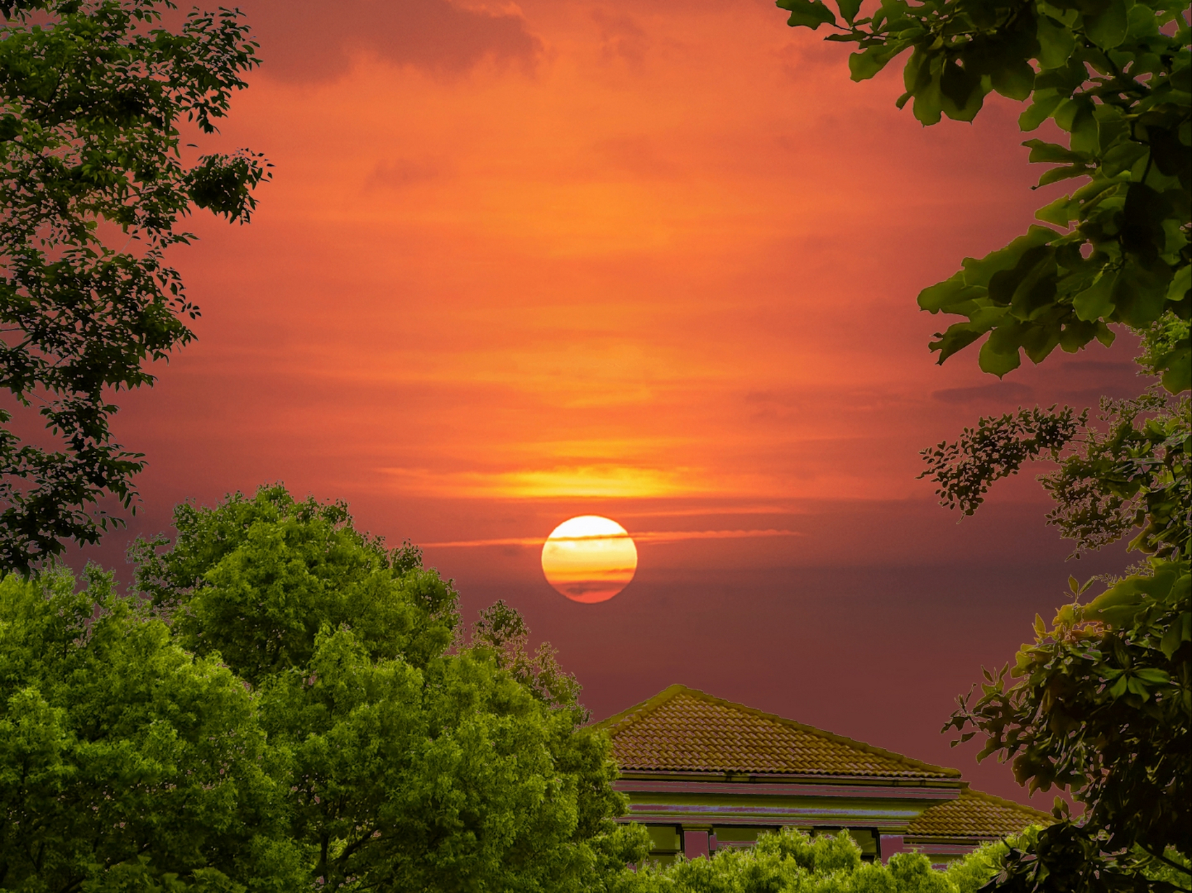 日出朝霞红满天下,朗香园周围的一切都失去了原来的颜色,淹没在红光
