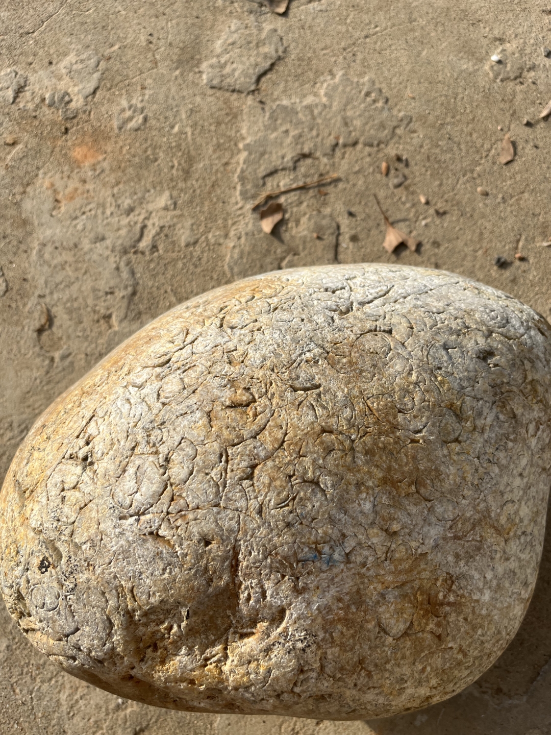 有没有网友帮忙科普一下,这是什么石头,很重,好多类似鳞片的纹路