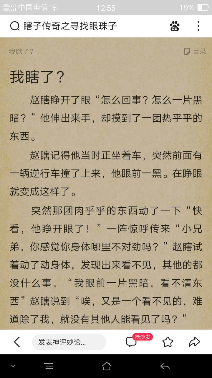 瞎子传奇之寻找眼珠子,一个网文