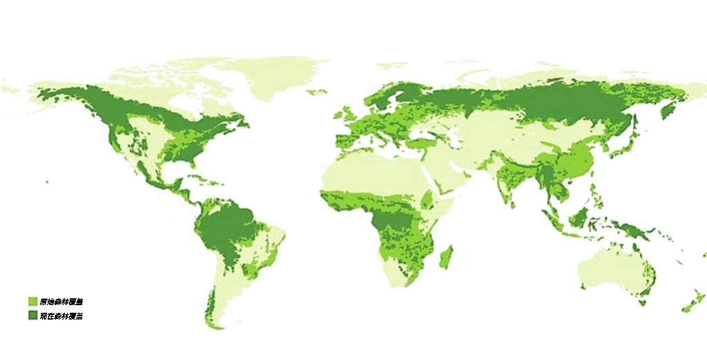 世界森林覆盖地图,包括原始森林和现代森林.