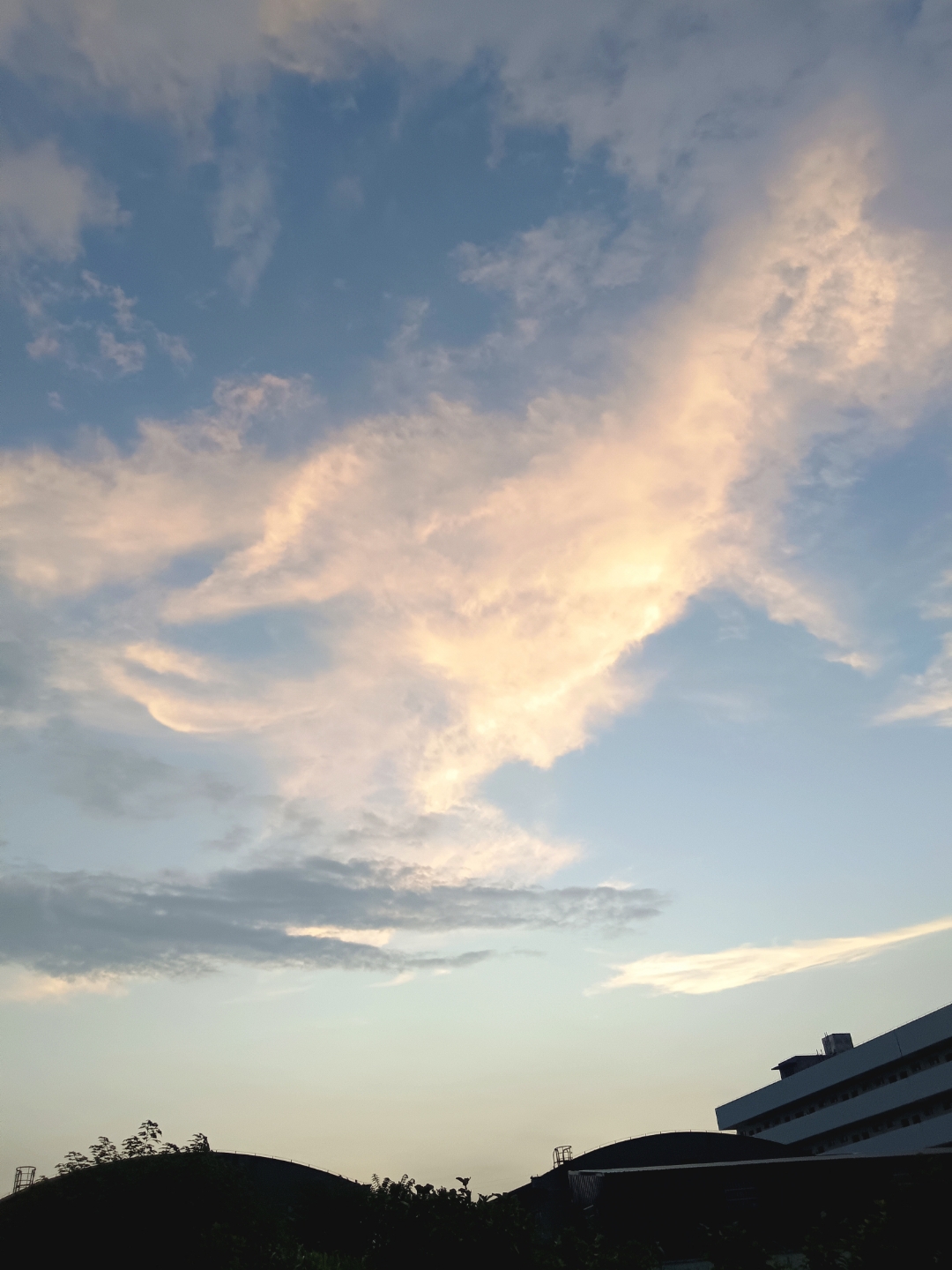 傍晚抬头,看云朵在天空漫卷,被夕阳染成温柔的金