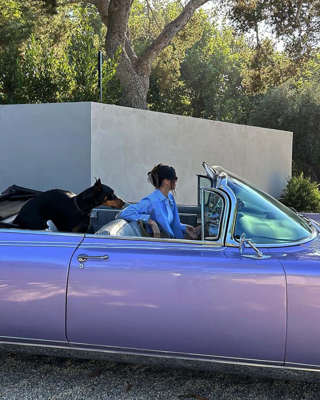 肯豆詹娜 一组修图,可以当壁纸,开车的詹娜太帅了#詹娜# #肯豆# #美女