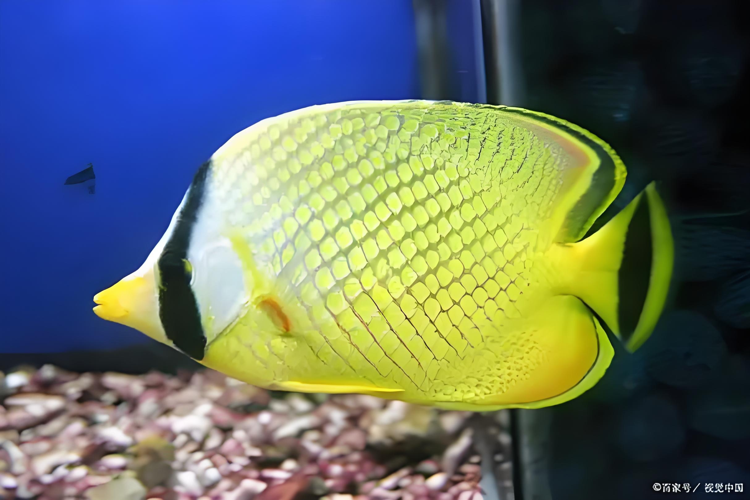 从管理的角度看经营,或者就说销售工作