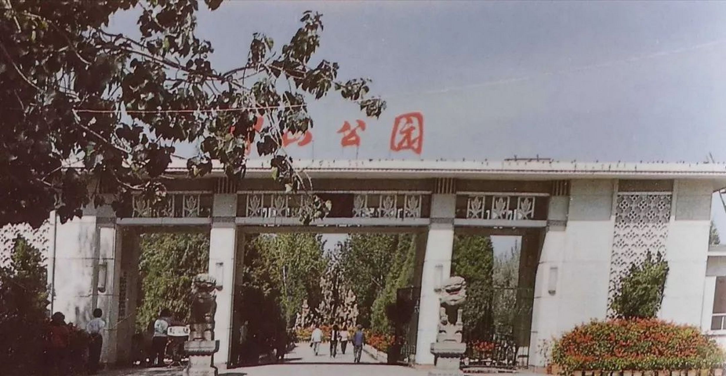 银川头条#  中山公园的北大门变样了,近日路过看见仿古建筑很是气派