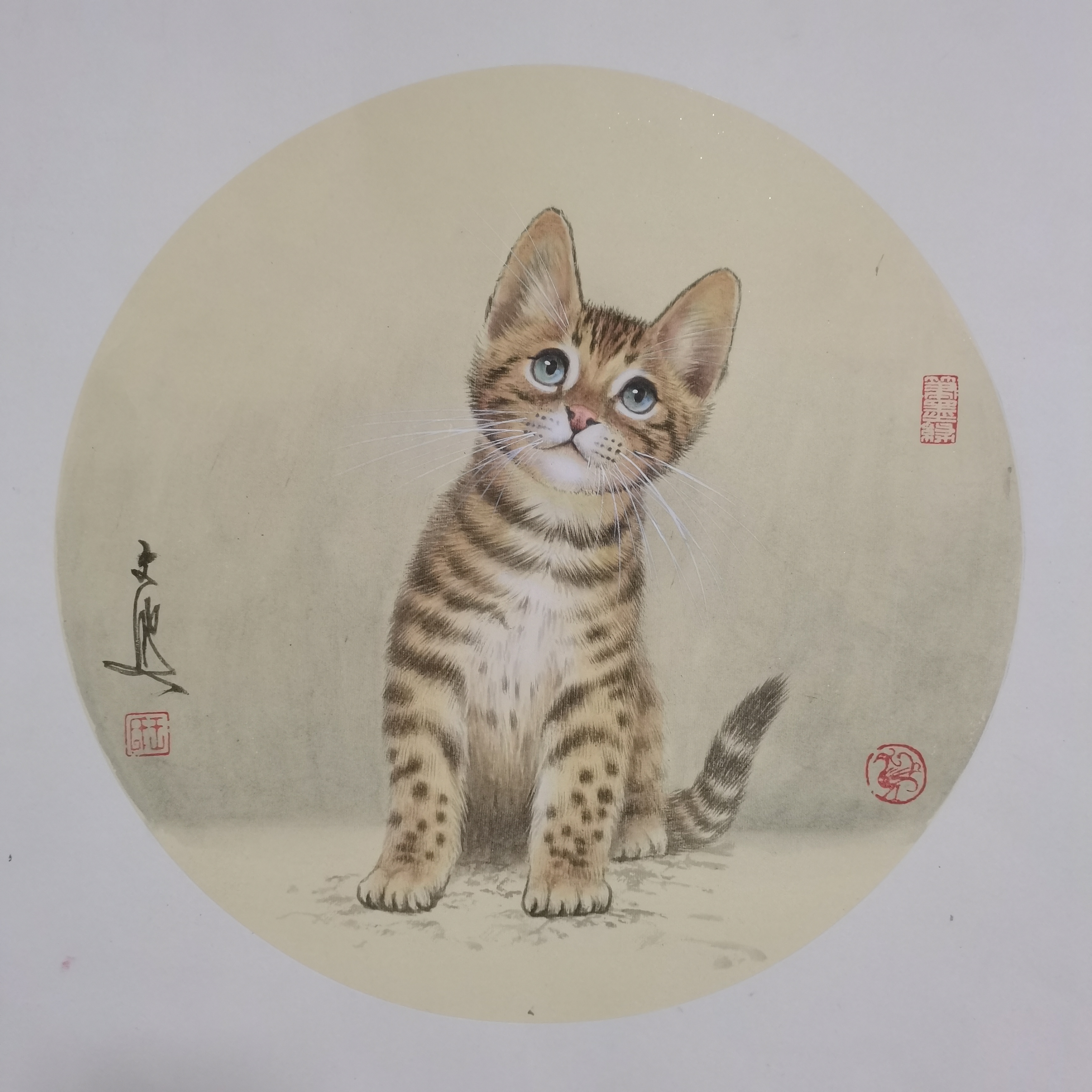 工笔猫获奖作品图片