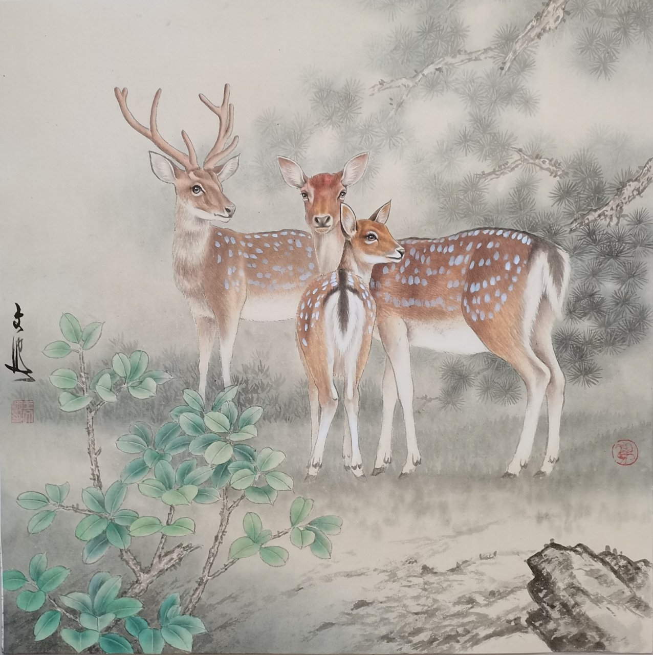工笔画鹿
