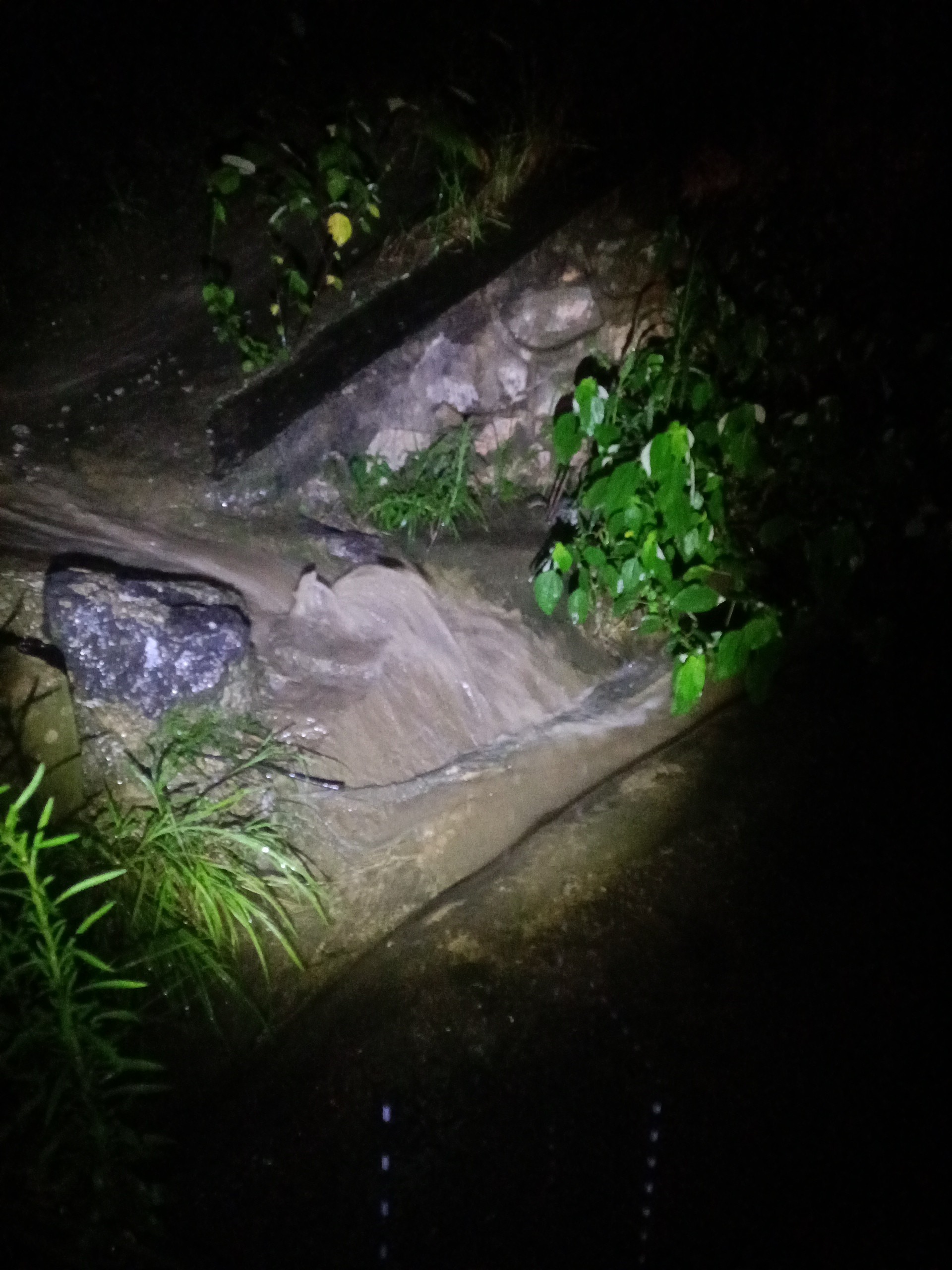 只有这样,我们才能共同为地球的美好未来