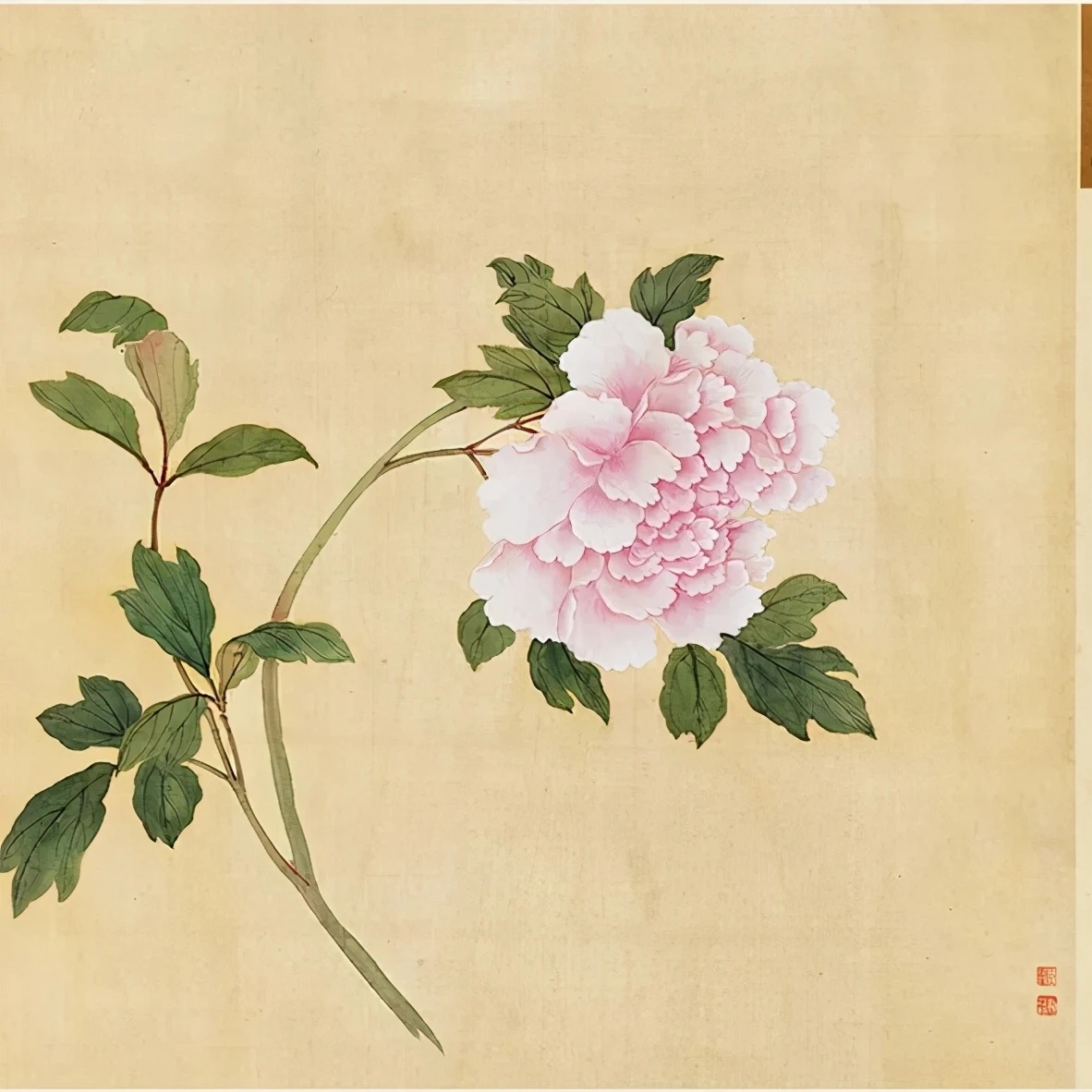 教程最简单的牡丹花历代名家牡丹没骨画国画没骨画牡丹恽寿平没骨牡丹