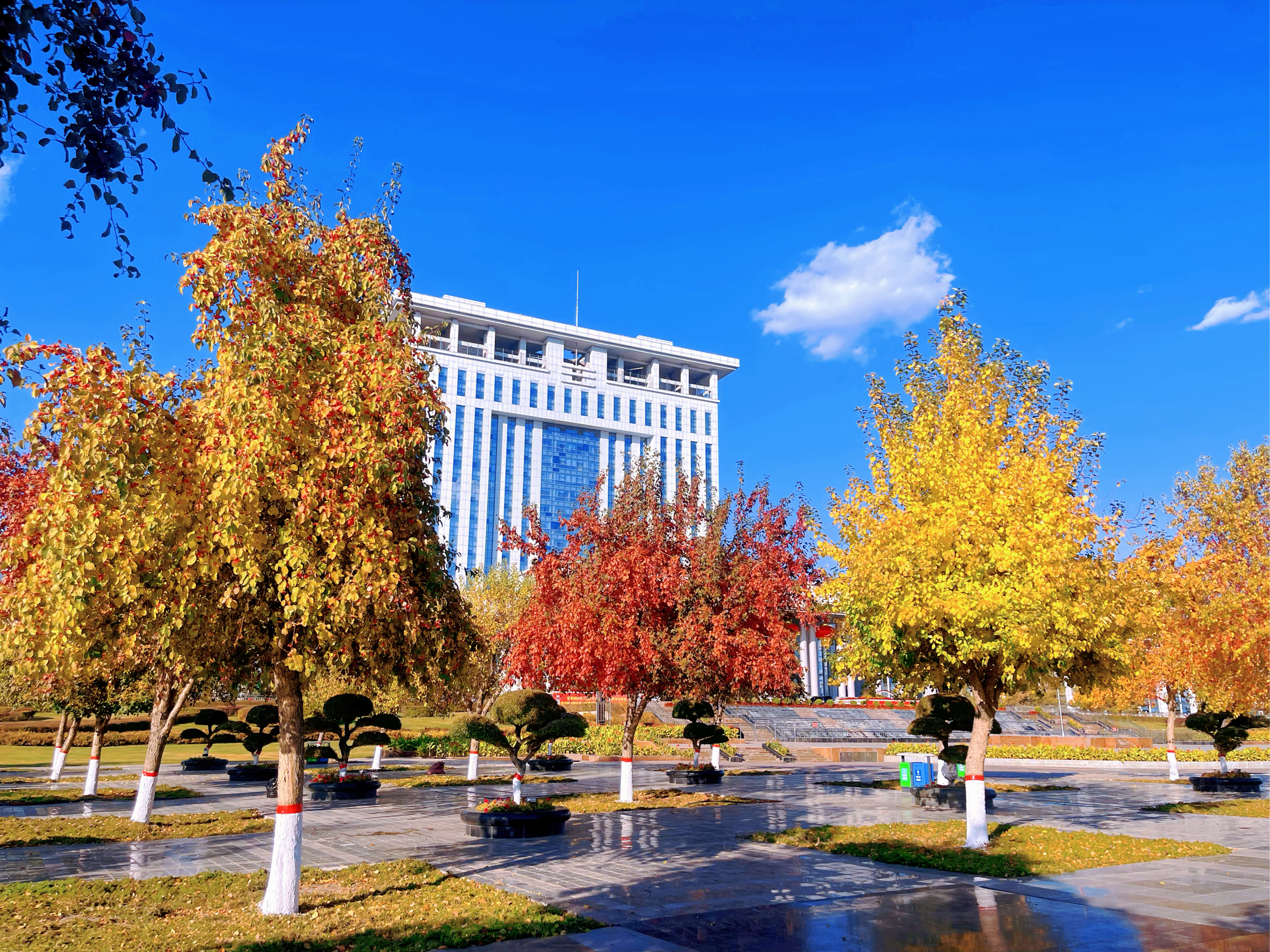 内蒙古青城大学图片