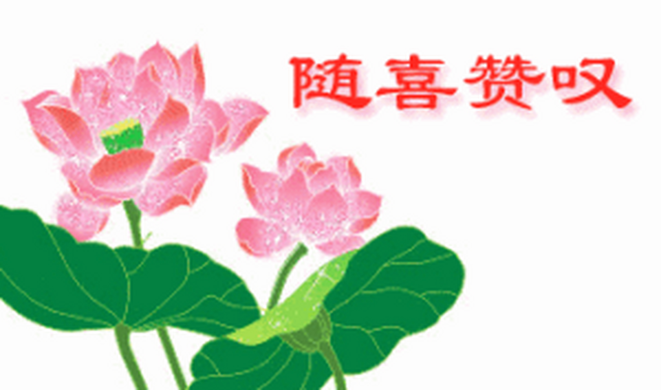 分享图片