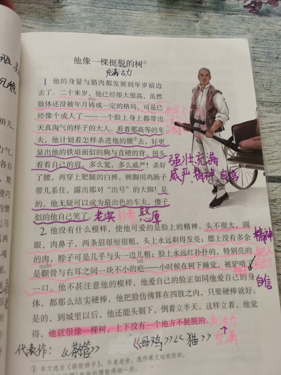 他像一棵挺脱的树 字写的丑,勿喷[祈福]注意代表作,那里有一个是