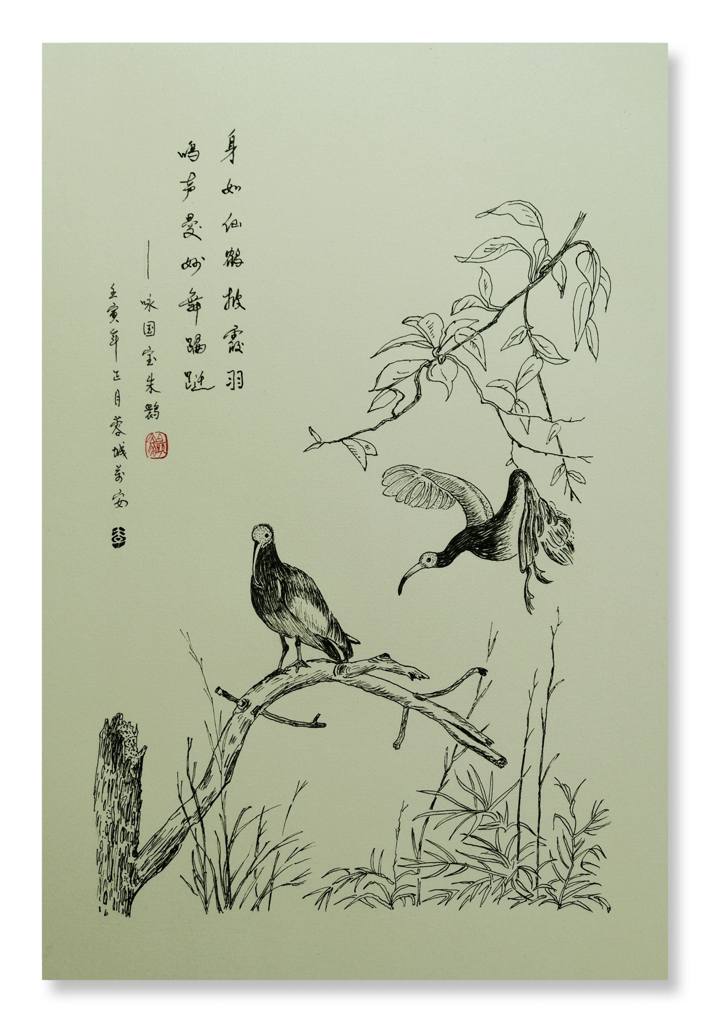 鸟语花香的世界(白头翁钢笔画)      在喧嚣的城市中生活久了,我们离