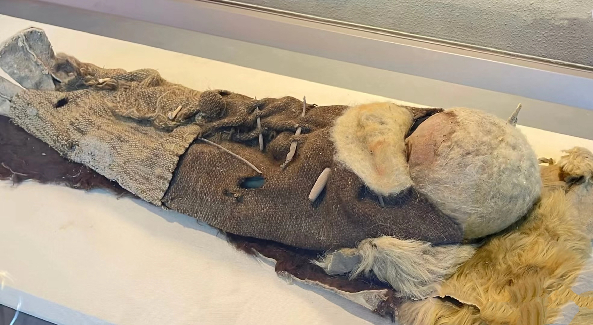 三千年前的楼兰墓葬婴儿干尸 2003年若羌县楼兰墓葬出土,棺内墓主人