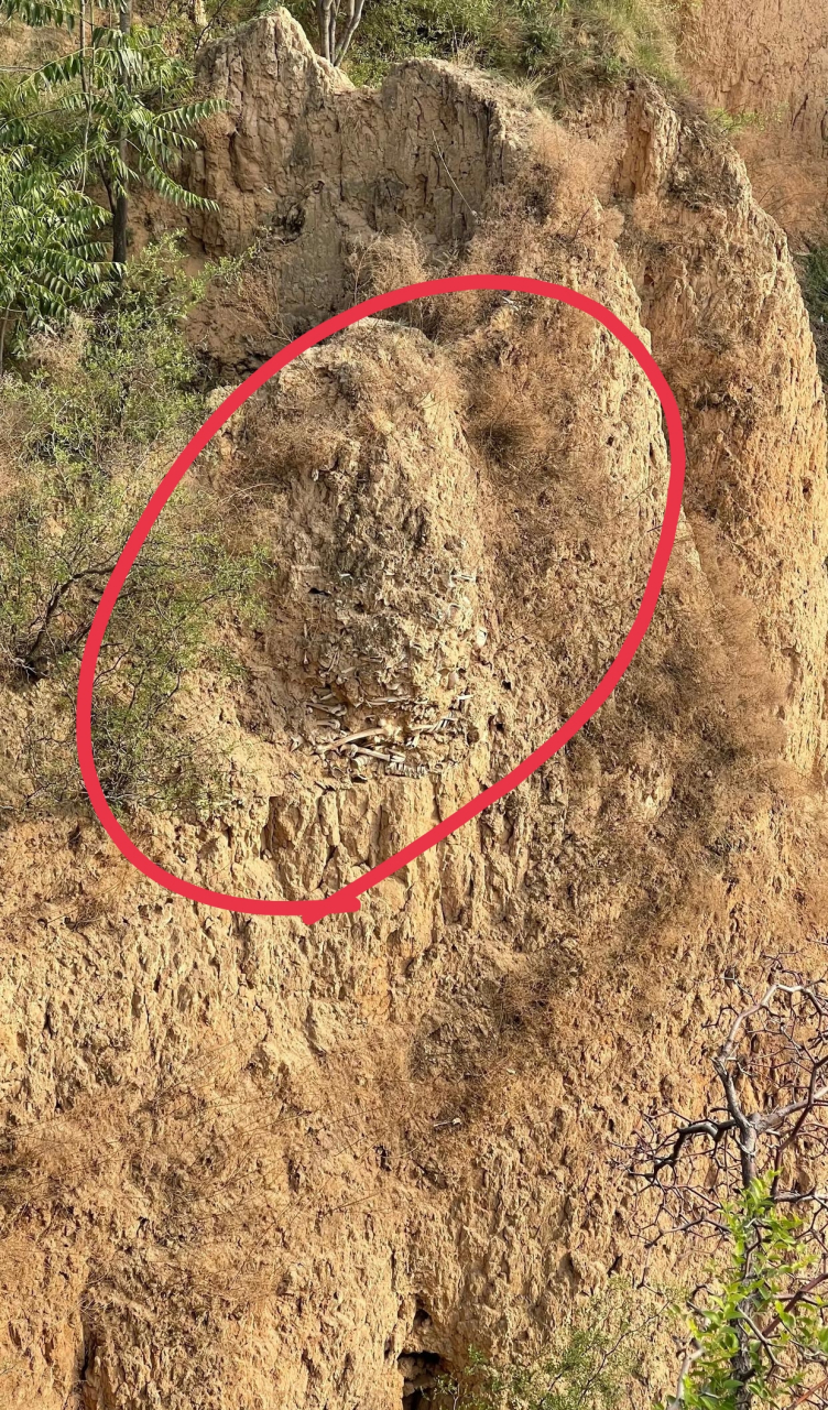 山西稷山县发现的一处"万人坑",位于玉璧城遗址附近的黄土断崖上,层