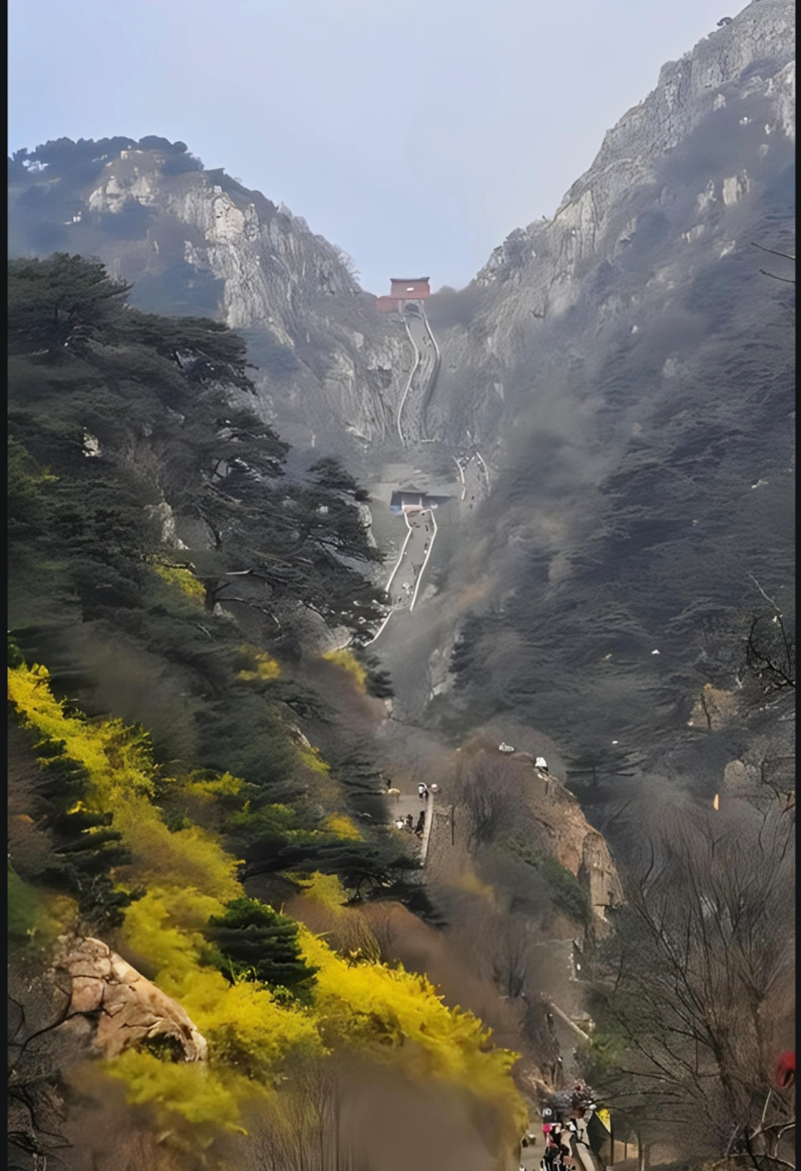 泰山风景春天图片