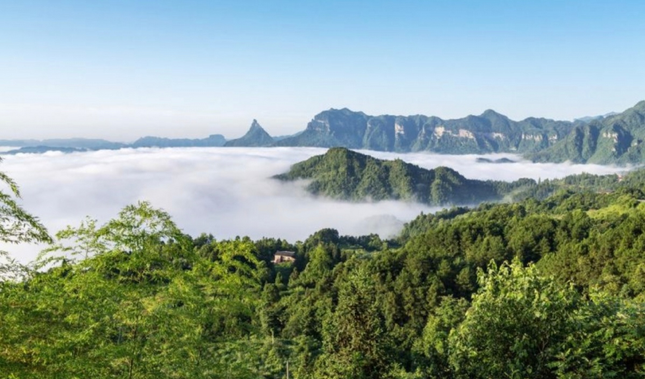 [心]重庆的打卡景点(4)[鲜花]金佛山[小红花]  [鲜花]金佛山,有喀斯特
