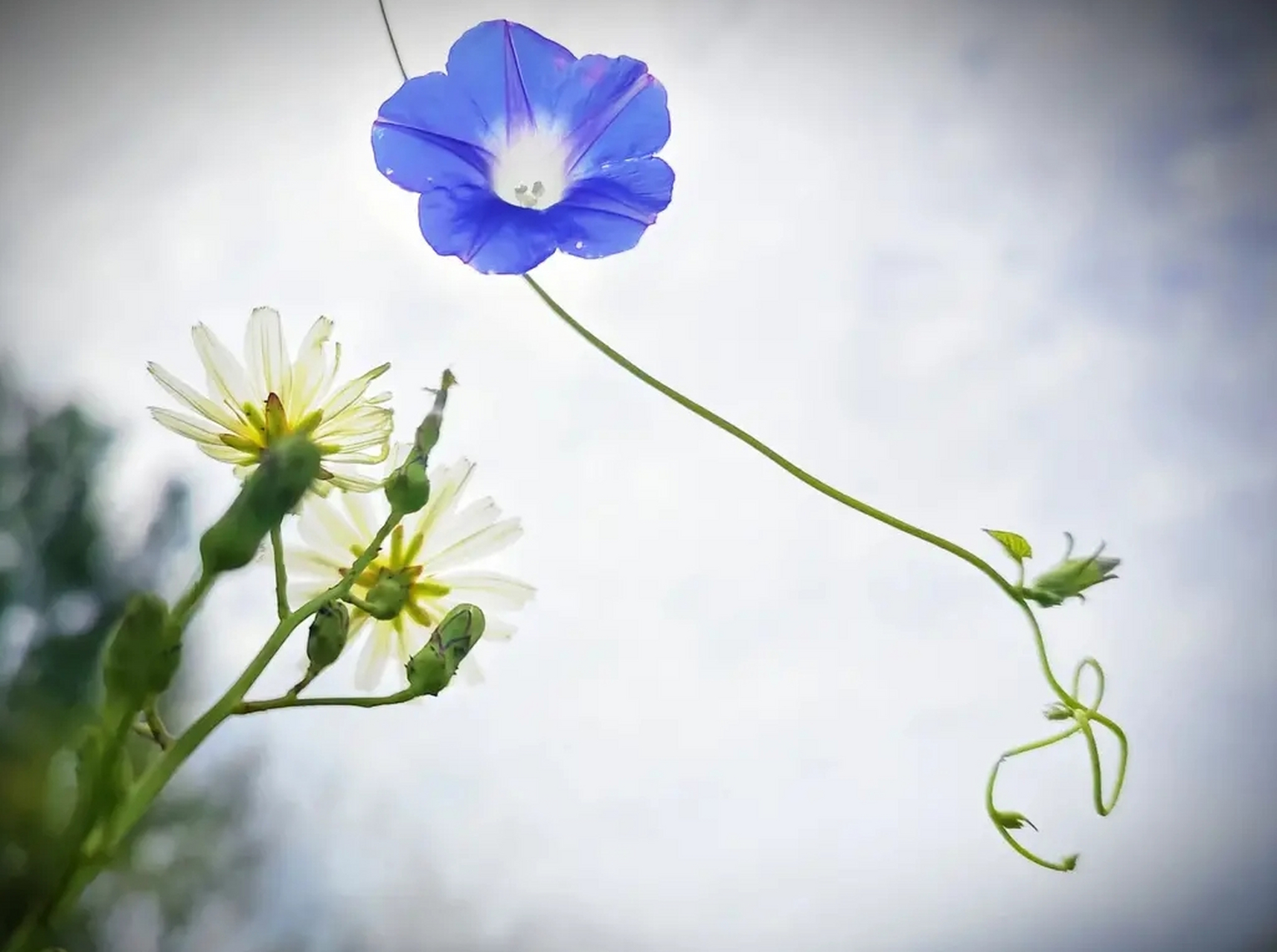 [ 报应坏人的两种表现形式 ]  第一种,不需要自己动手 ,老天直接收拾