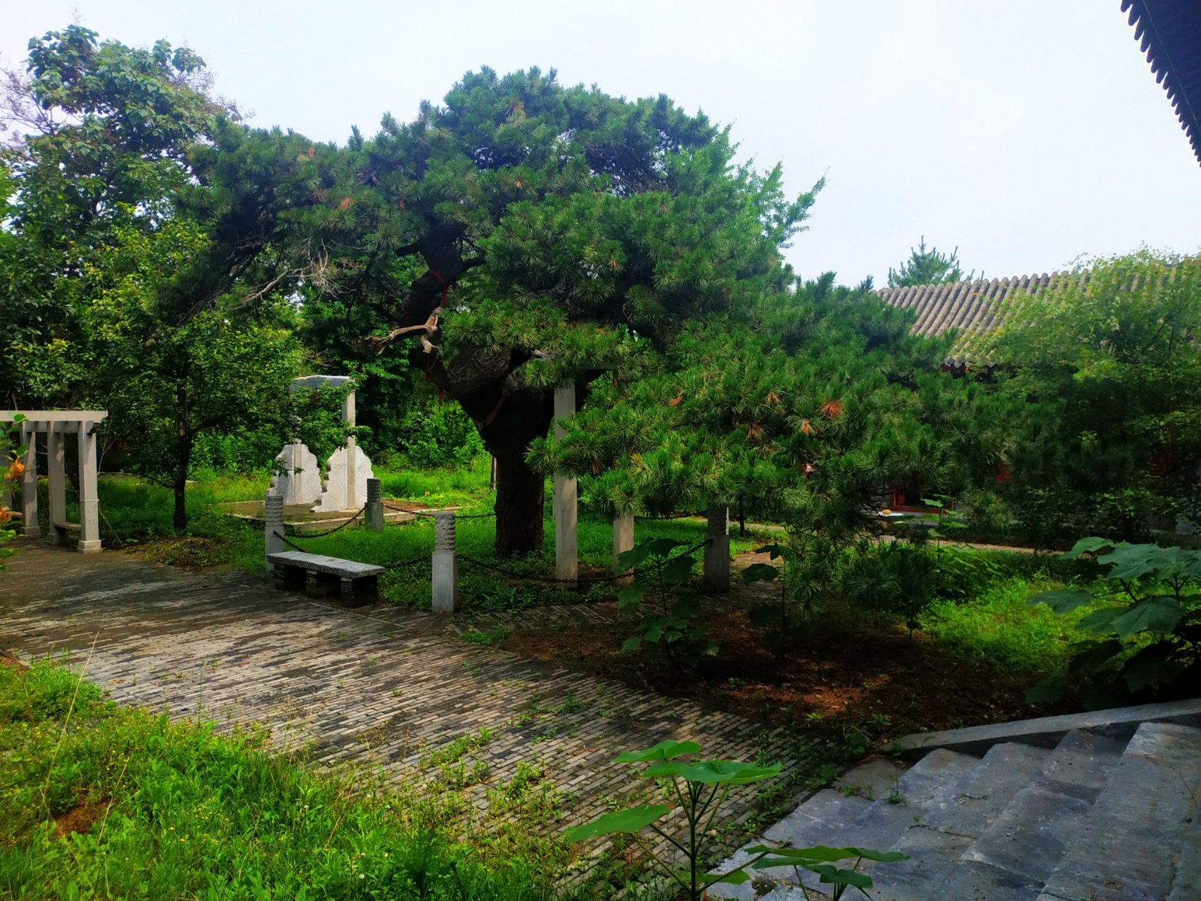 山海关的三清观多人没到过吧?