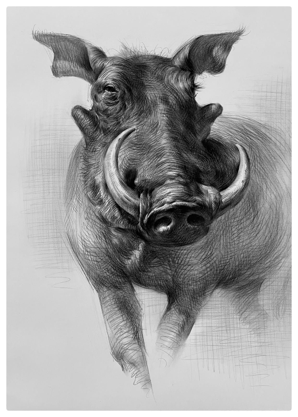 堪称素描之巅!(图片是转发的)