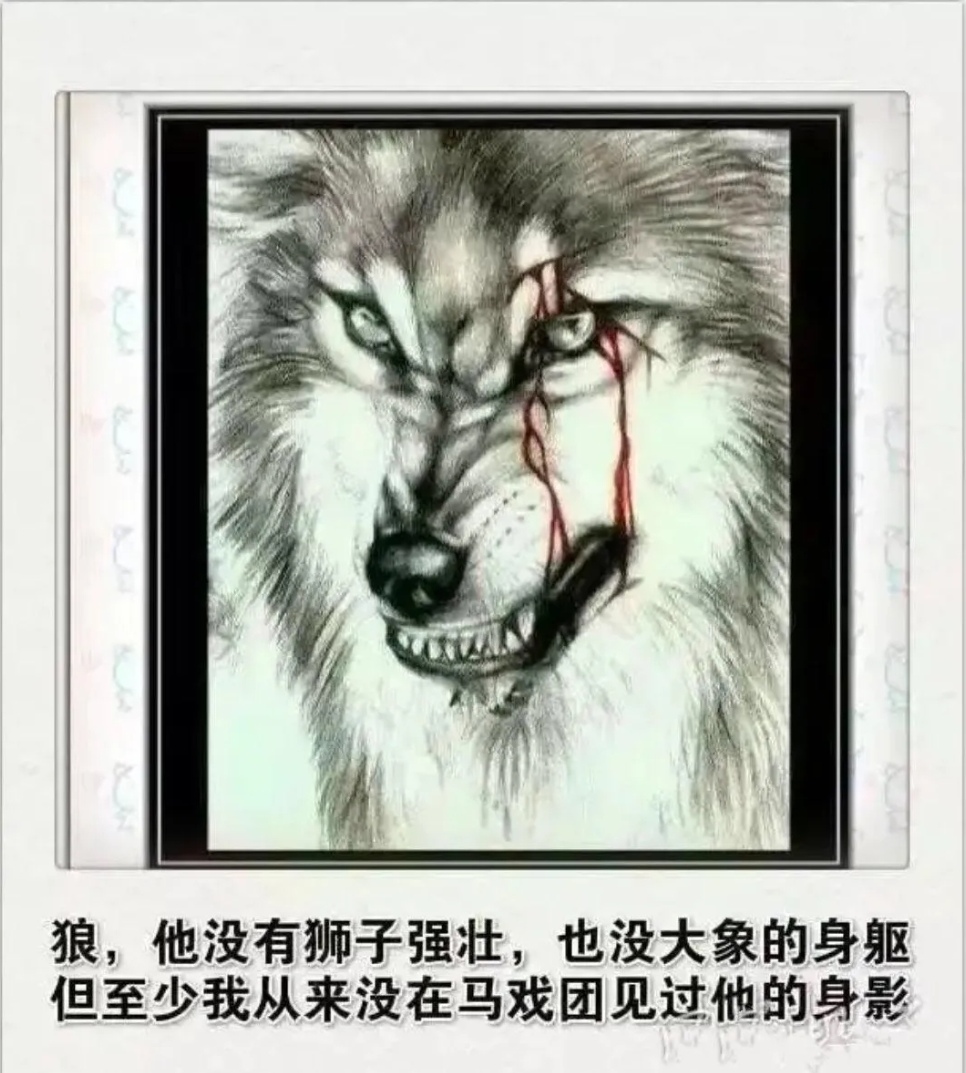 狼讽喻了什么