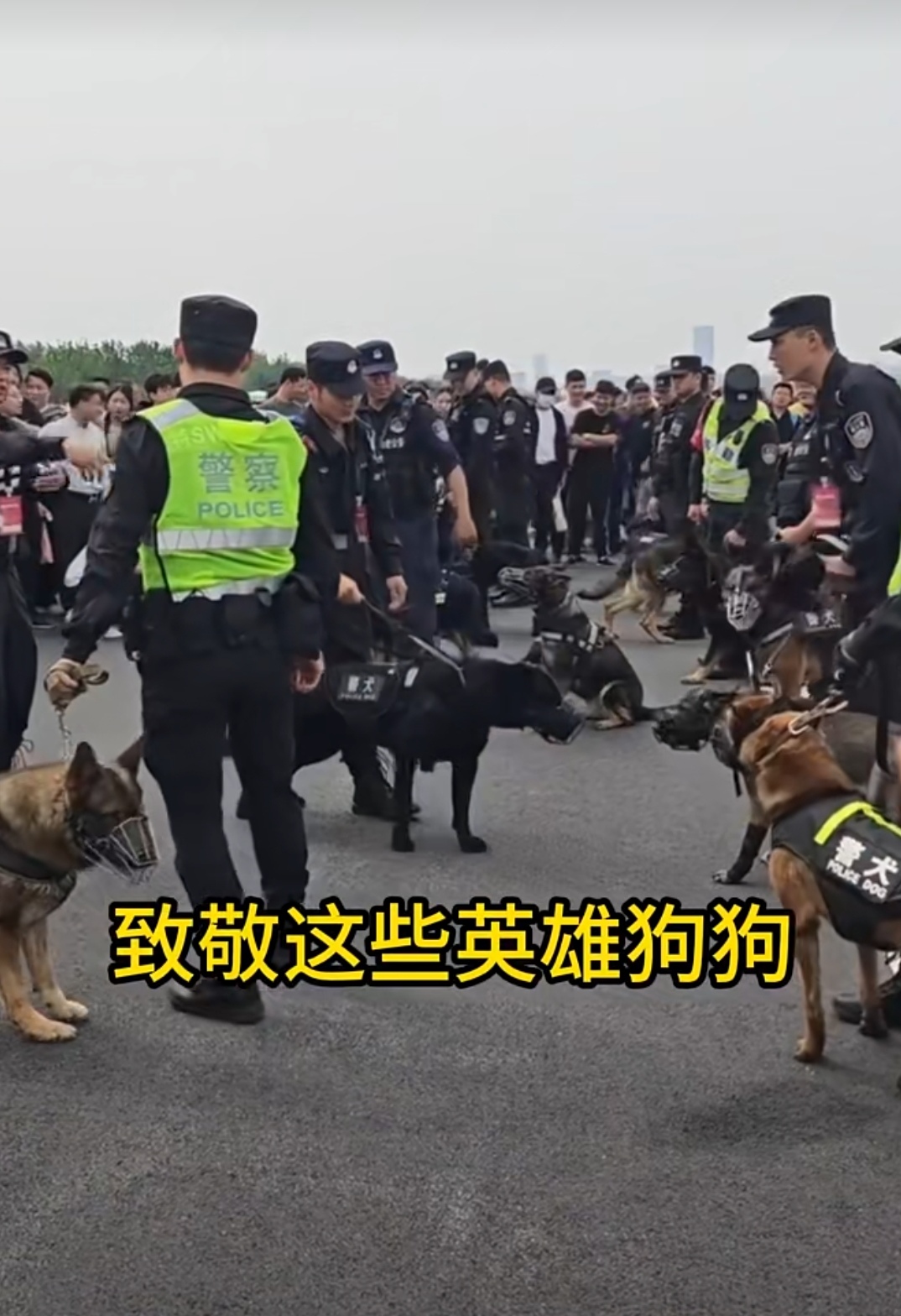 战将,训练刻苦不慌张,别看日常多严相,卖萌打滚亦在行,保家卫国勇担当