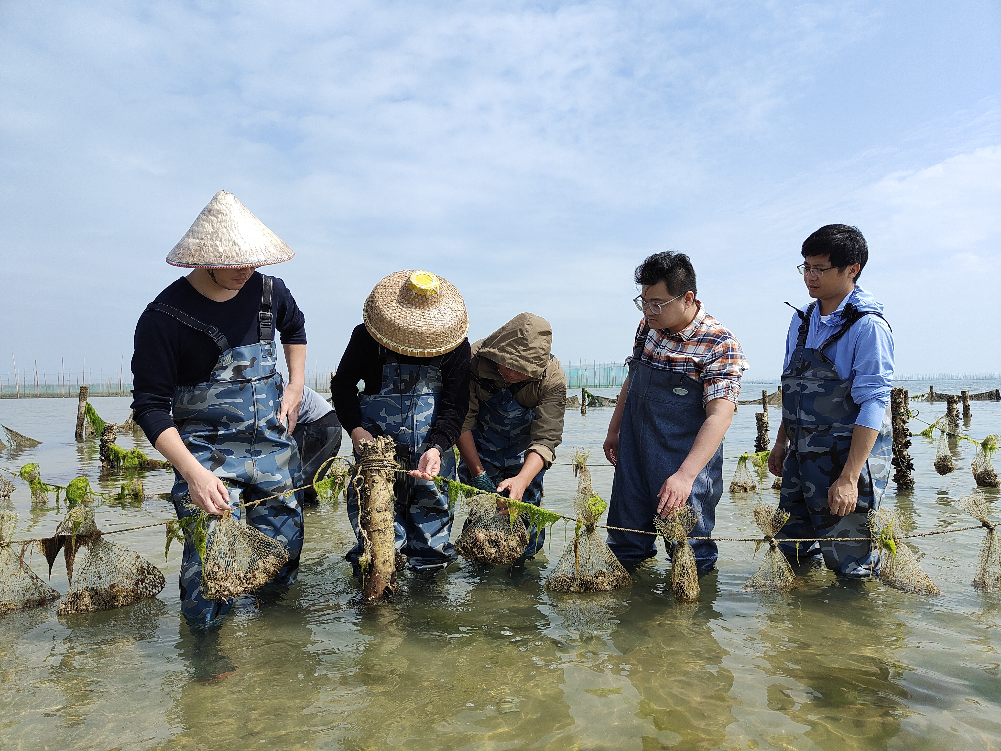 北部湾养珠人的一天,海上管理养护工作纪实.
