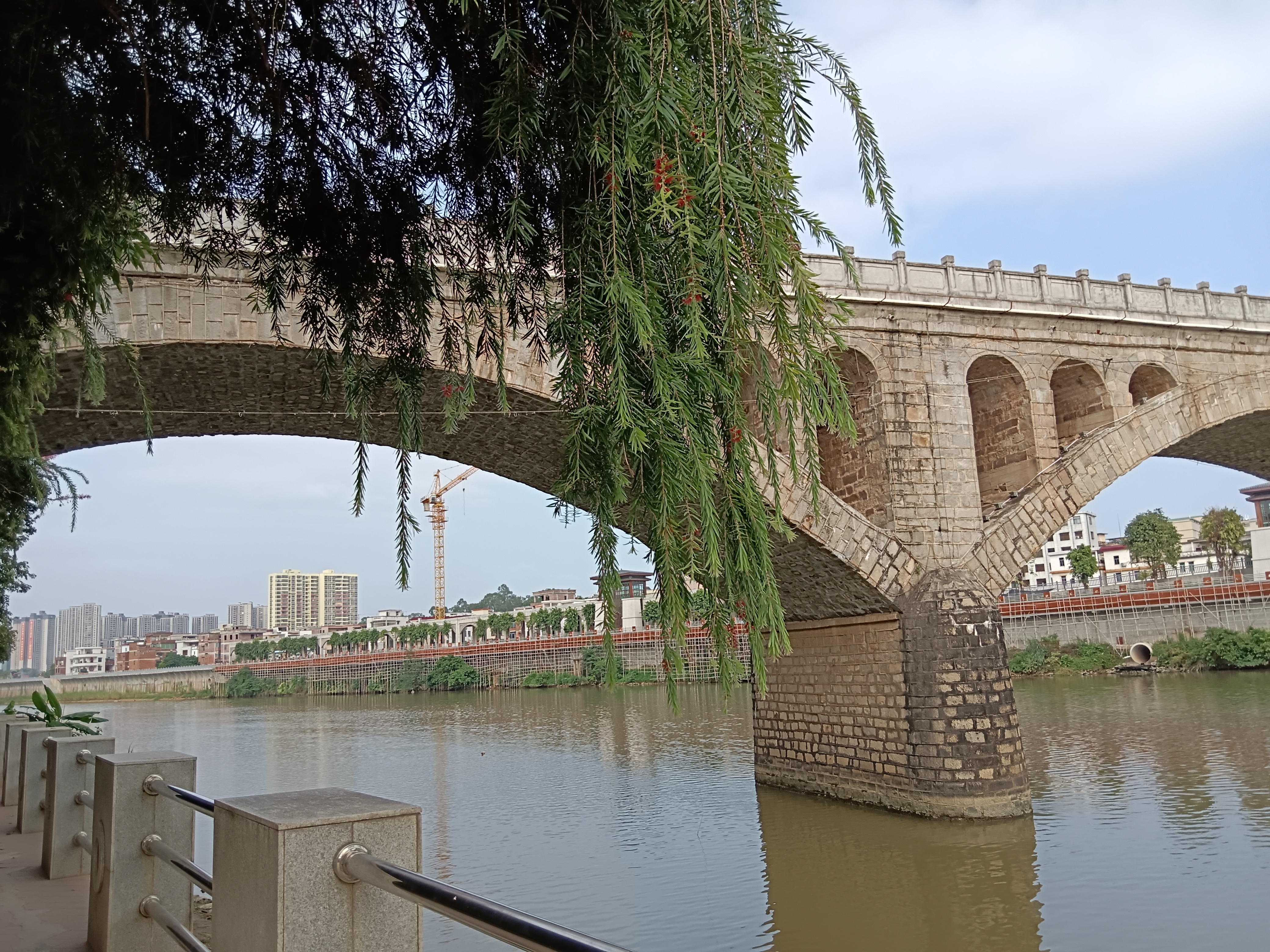 夏日风情,阳光明媚,我心欢畅.绿叶轻摇,微风拂面,微笑绽放