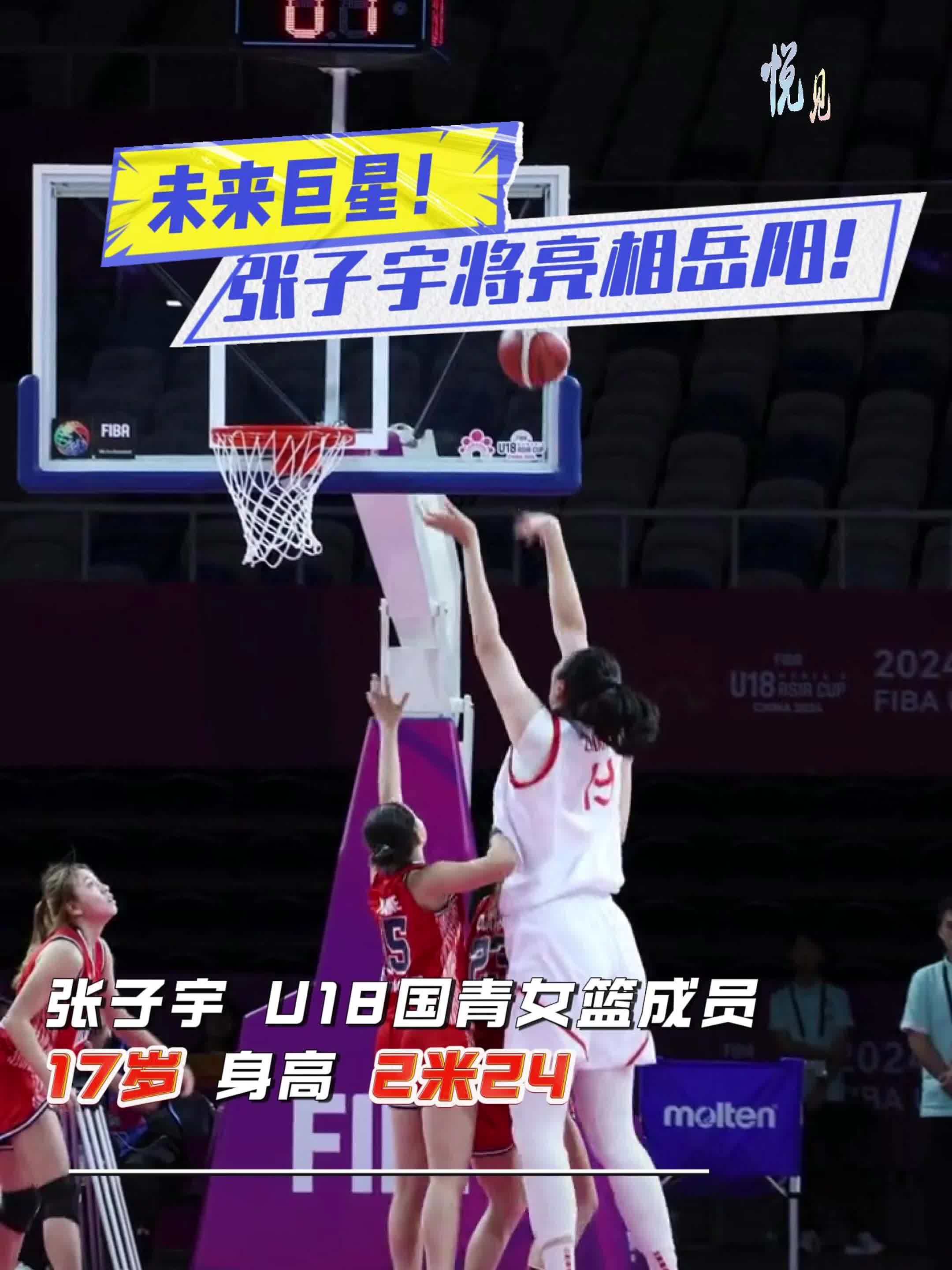 关于赛场内外：球员在粉丝中的人气与影响力的信息