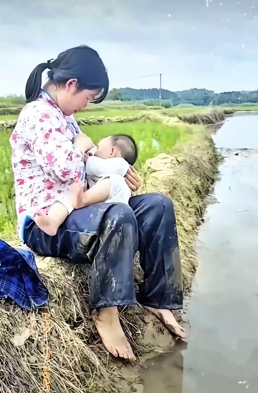田间哺乳照引热议 近期,一张田间哺乳照在网上悄然走红,照片里一位