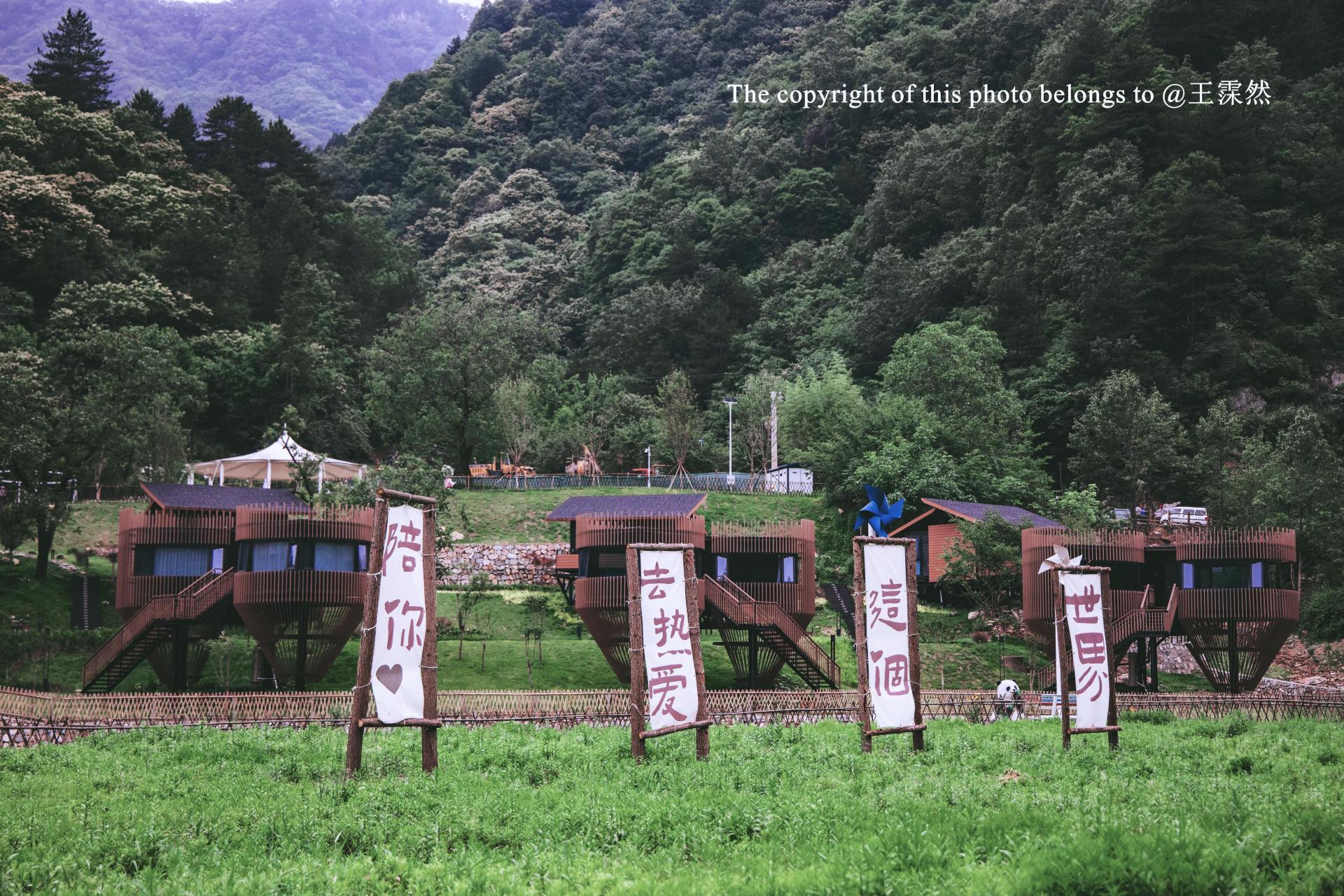 佛坪被称为是陕西最小的县城,人口不足4万,全县仅9辆出租车.