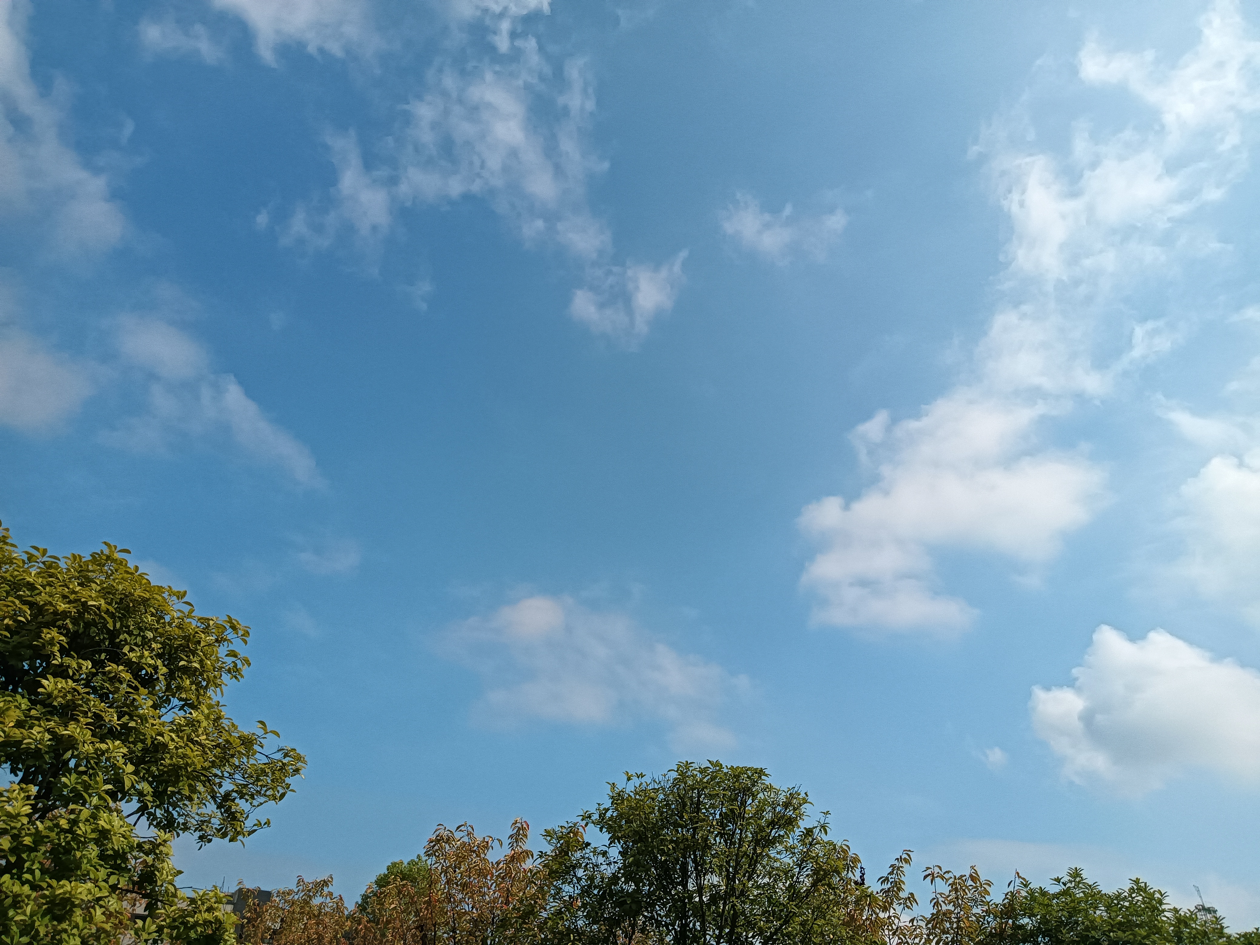 几天的阴雨天气之后,终于迎来艳阳高照.看着蓝天白云和青山绿水