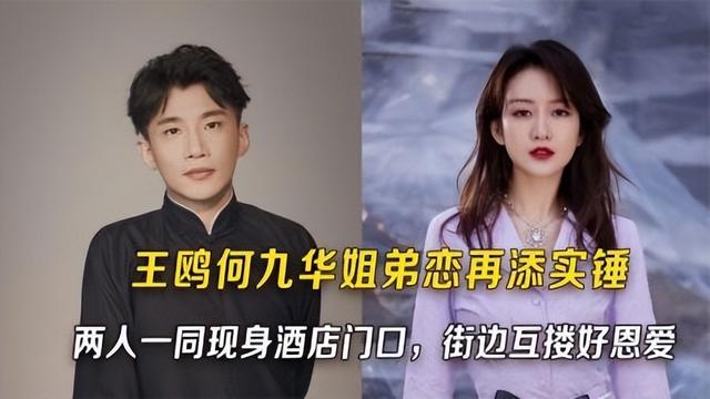 以母爱为翼,翱翔于事业的高空;而张碧晨,则在事业的王鸥的丈夫