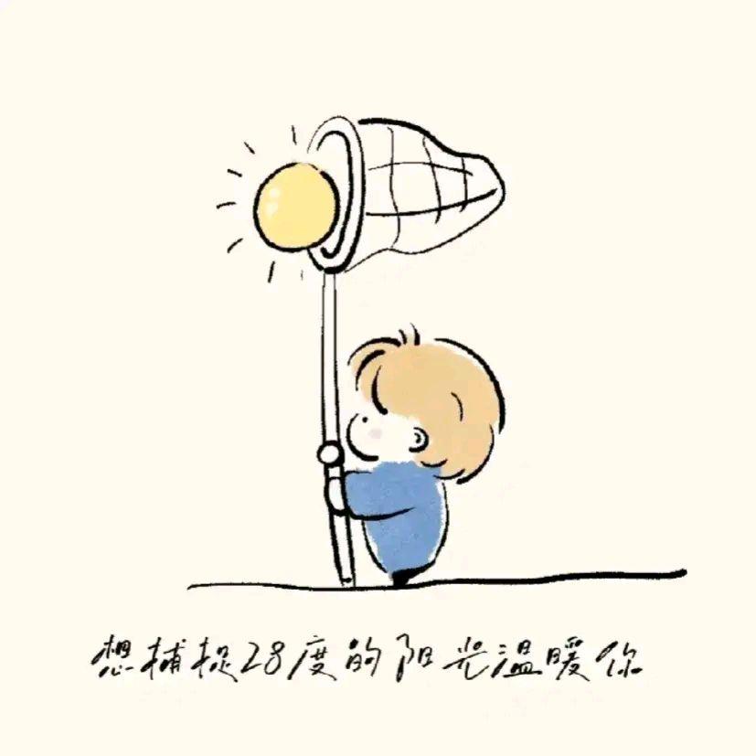 木鱼  我是一只猫 向往蜷缩在暖阳下 接受光的沐浴 温暖向