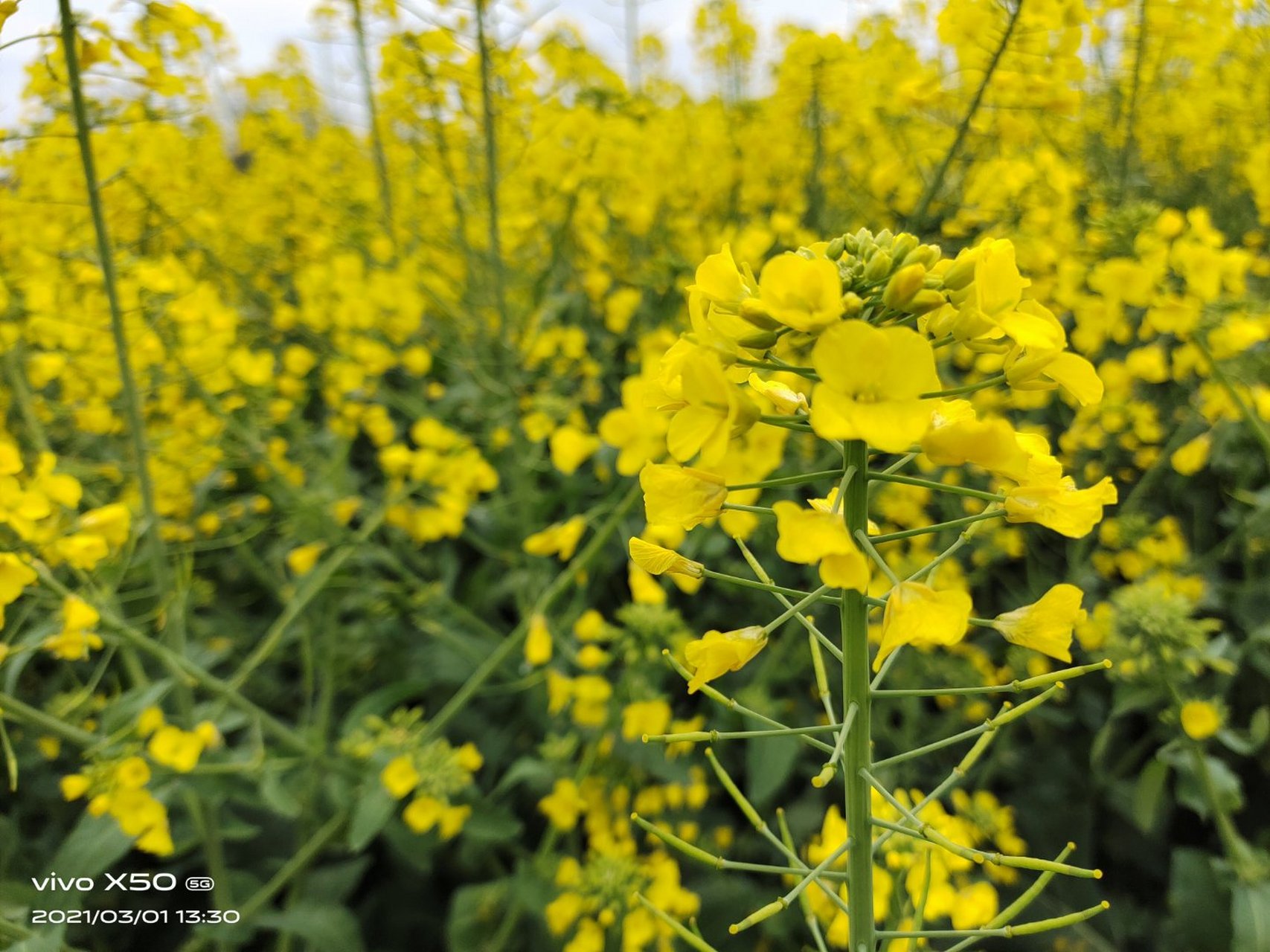 来领抖音推荐《爸爸疼你》何鹿秦锐by心塞弹丸未删减《爸爸疼你》何鹿
